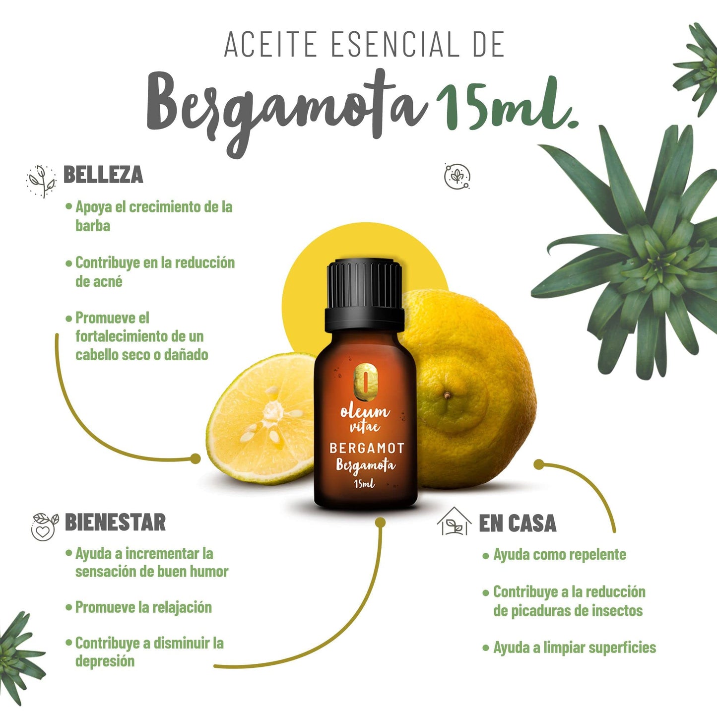 Aceite Esencial OLEUM VITAE Bergamota 100% Puro Orgánico 15 ml Certificado UK Hecho en India