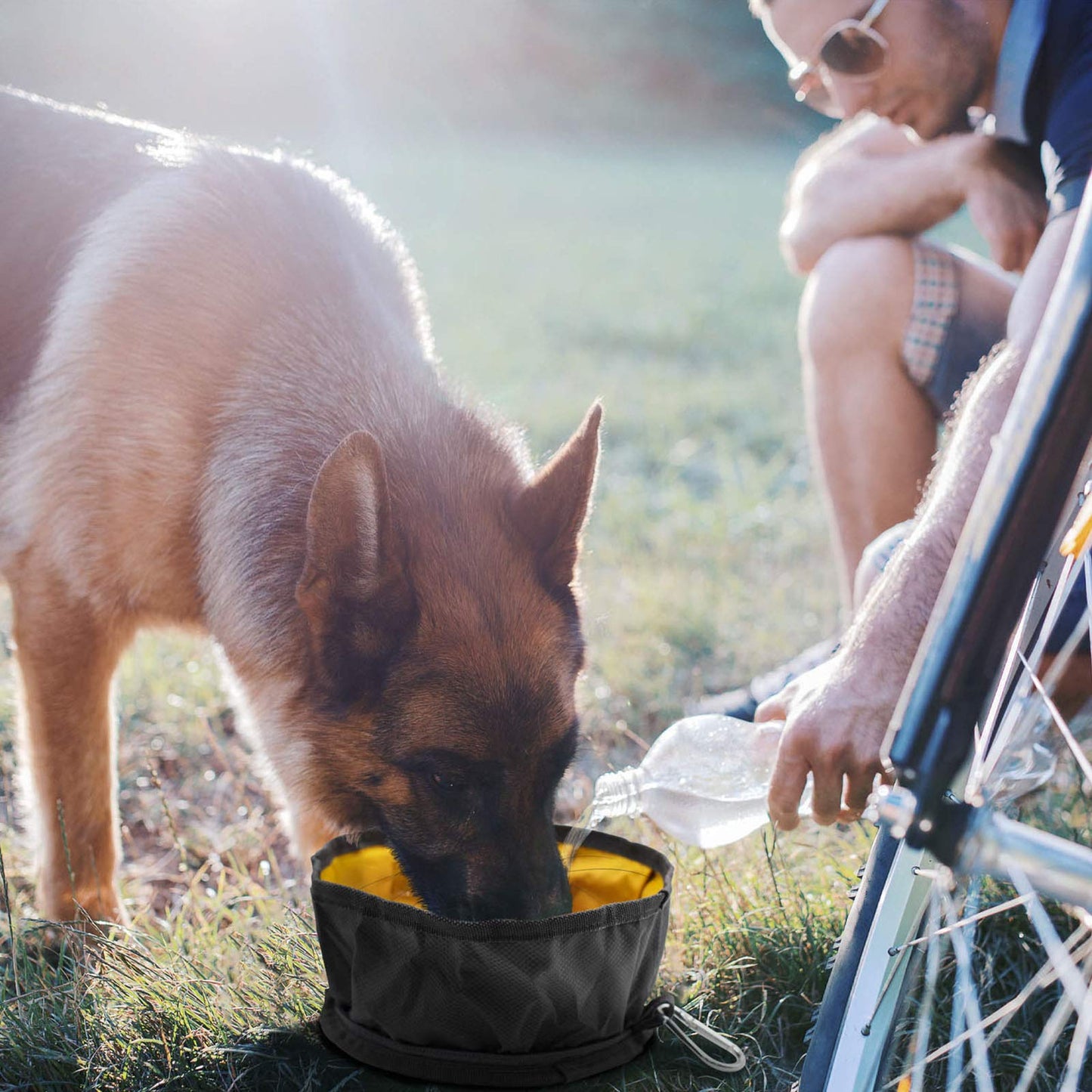 LumoLeaf Tazón plegable para perro, 1 paquete de cuencos plegables grandes y ligeros, para agua y alimentos para mascotas, perros, gatos con cremallera (8 tazas)