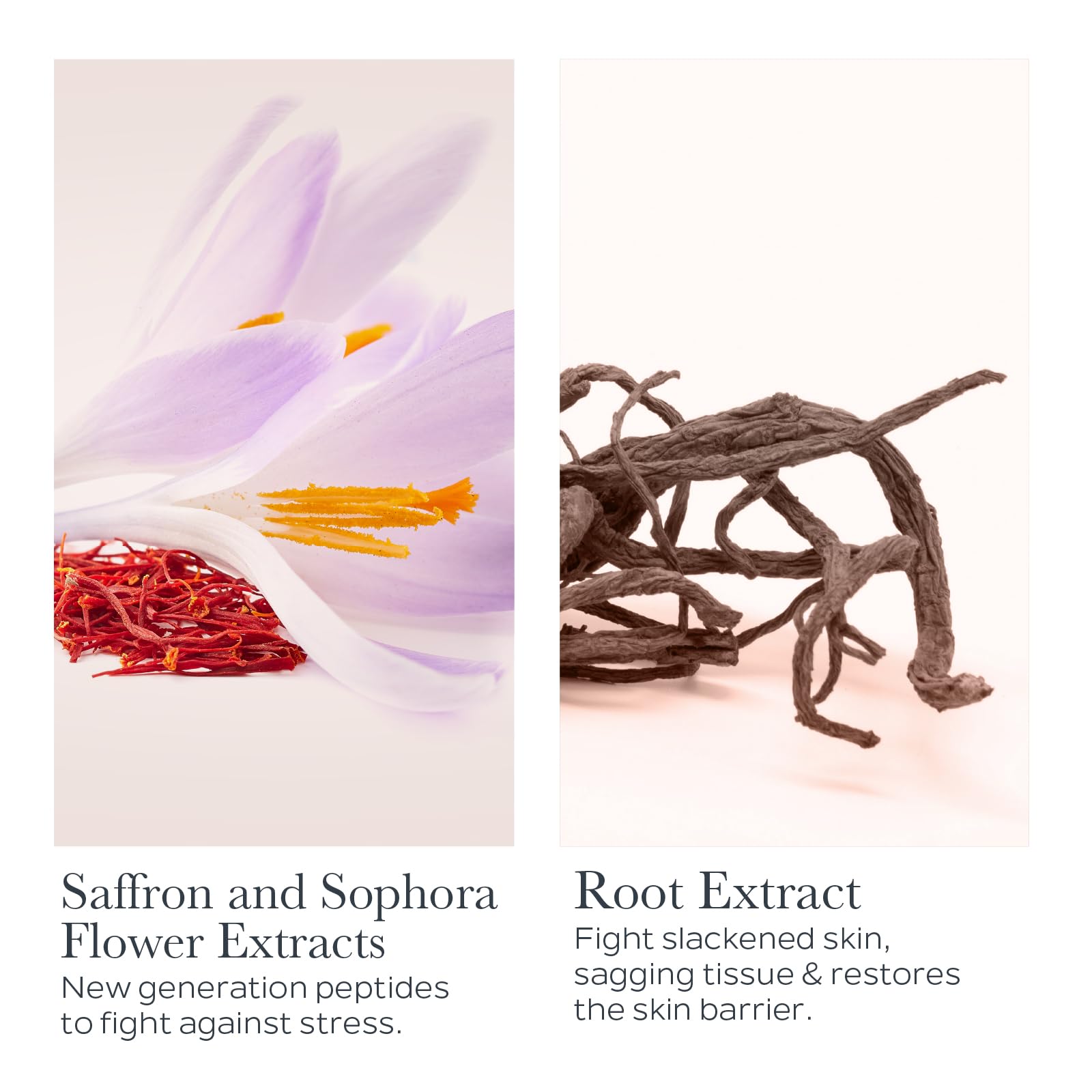 Sothys Restructuring Youth cream 50ml/1.69 fl Ounce