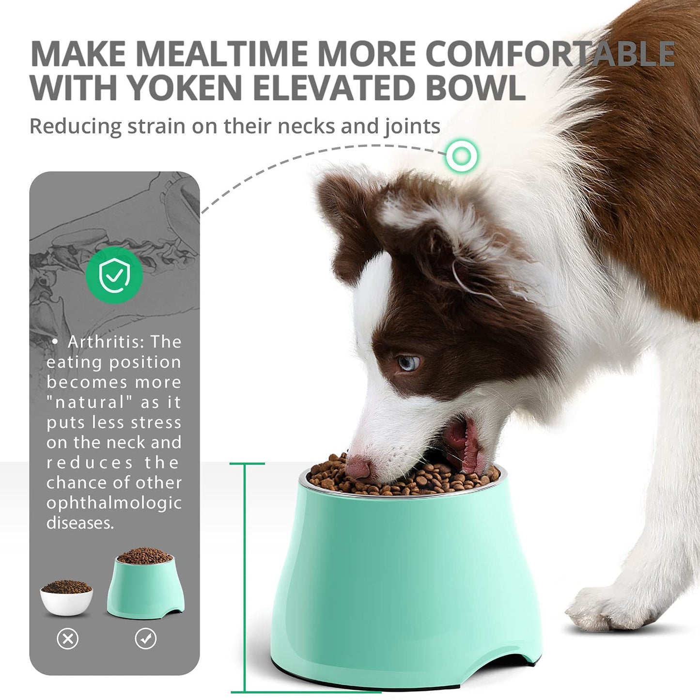 Cuencos Elevados para Perros Yoken Coloridos con Tazón de Acero Inoxidable, Alta Capacidad y Super Antideslizante para Prevención de Enfermedad Vertebral