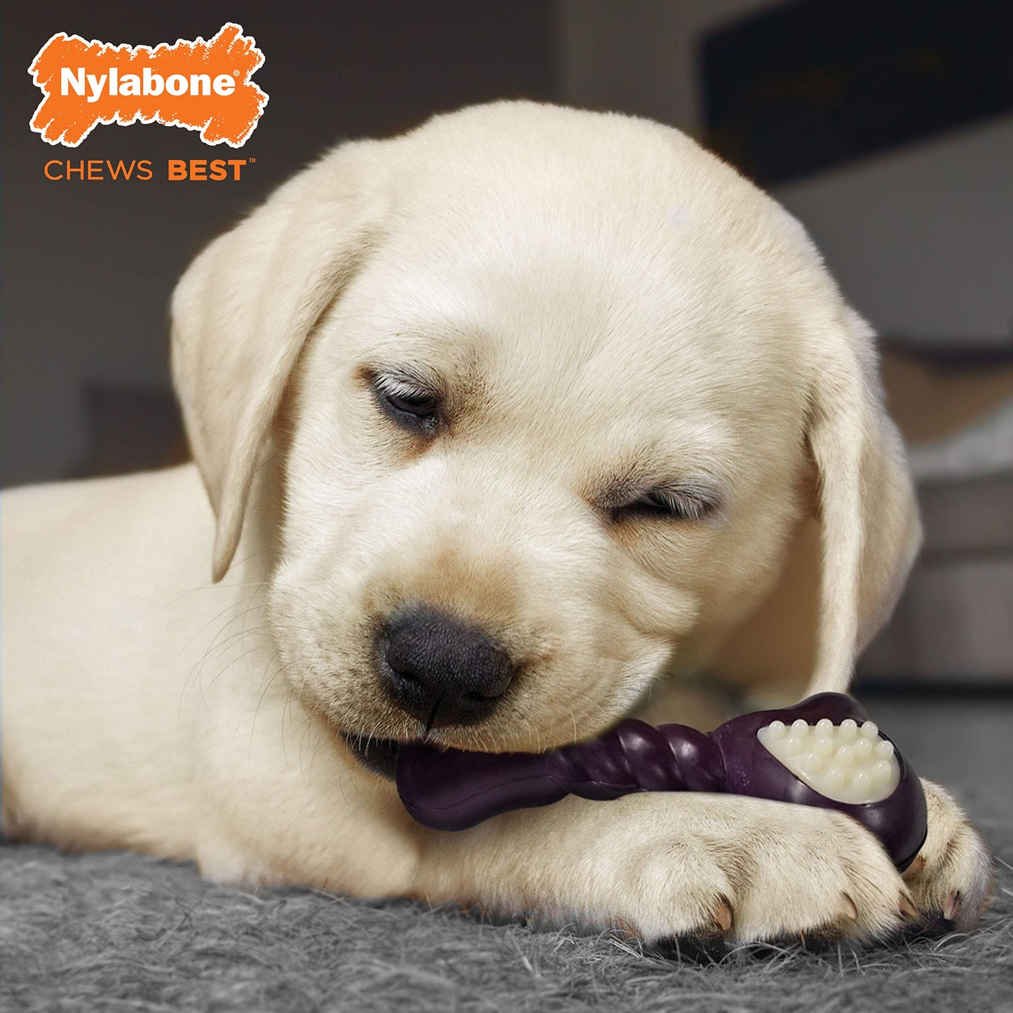 Hueso Nylabone NTG203P Puppy Verde Double Action Regular