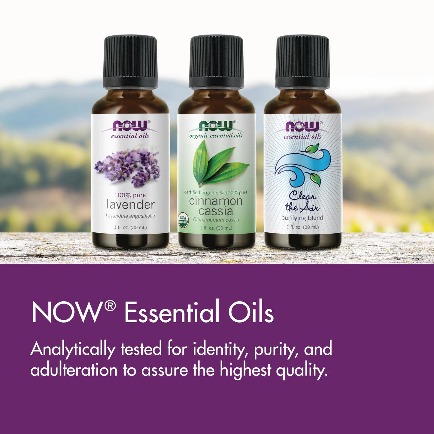 NOW Basil Oil, 1-Ounce