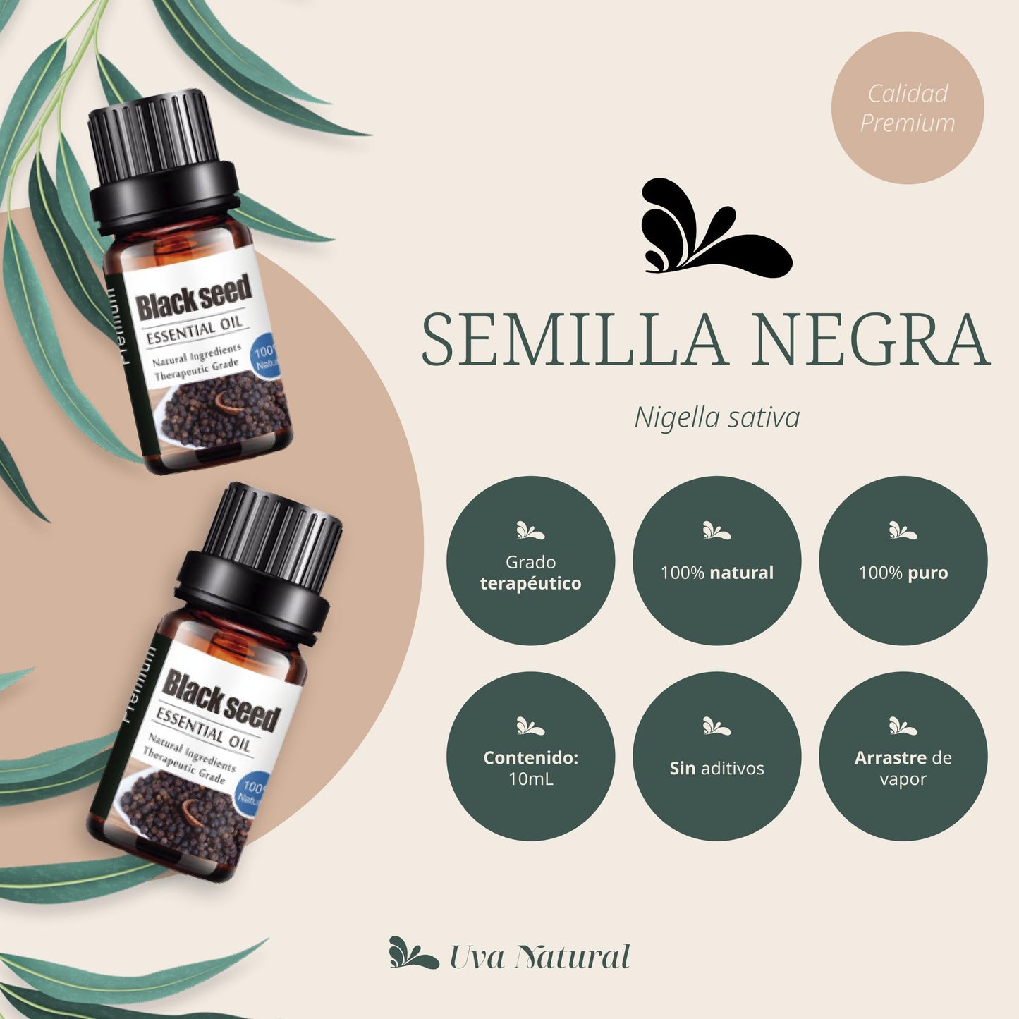 Aceites Esenciales Aromaterapia Semilla Negra Natural 100% Conjunto con Caja de Regalo 10 ML