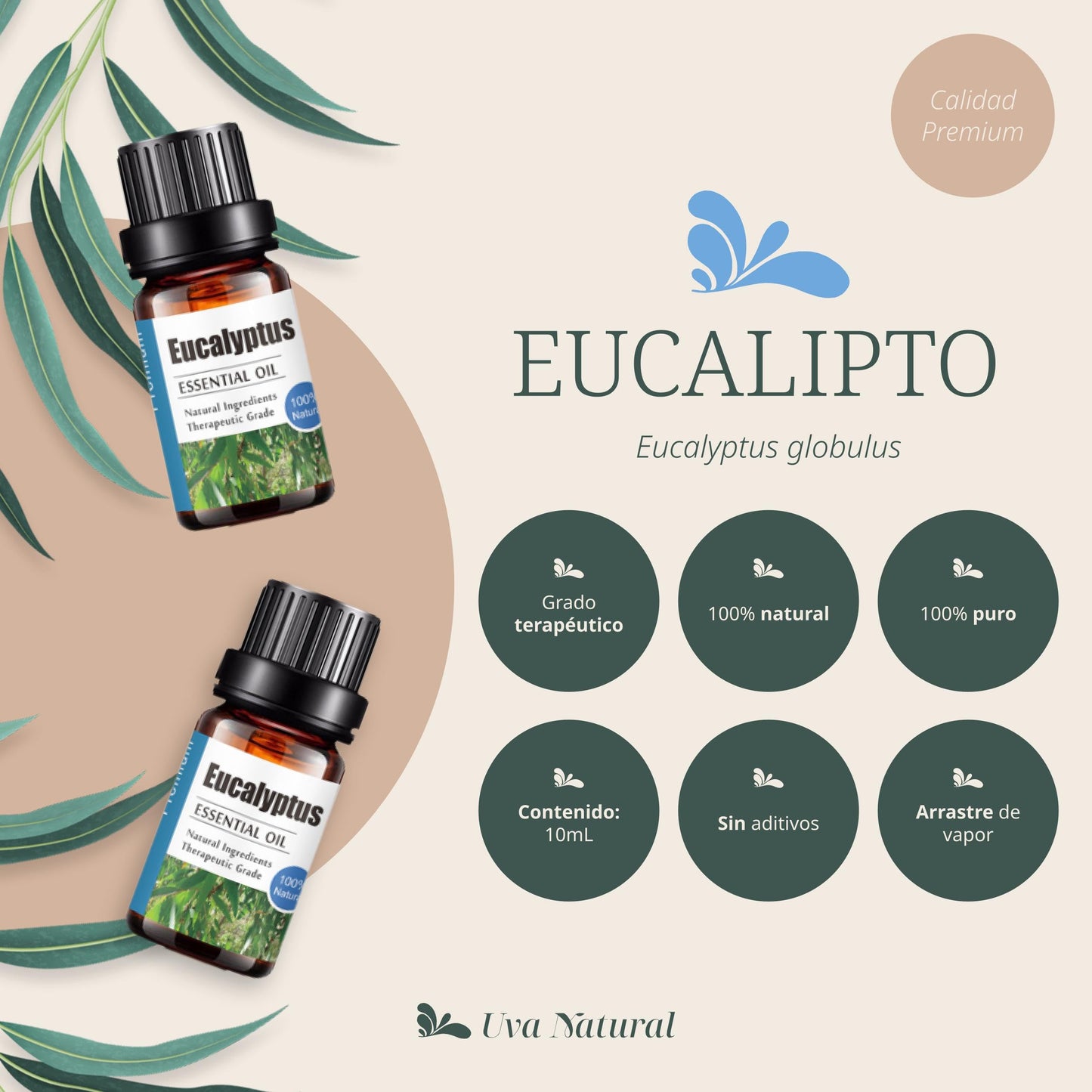 Aceite Esencial de Eucalipto UVa Natural 10 ML Aromaterapia para Difusores y Humidificadores con Caja de Regalo