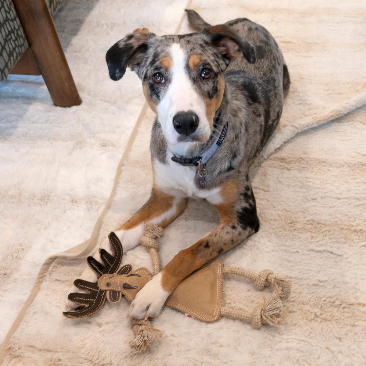 Ethical Pets Dura-Fused - Peluche de Animales del Bosque para Perro, 14 Pulgadas, 1 Pieza, el Estilo Puede Variar