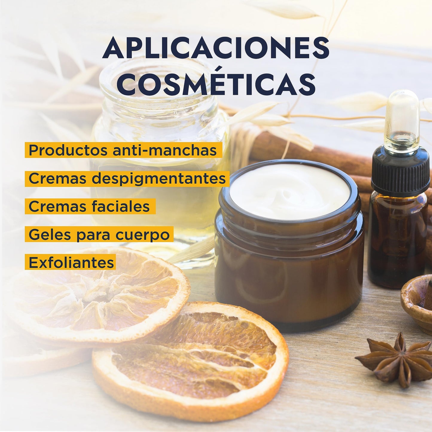 Hebbe | Ácido Cítrico | Reduce el pH, Antioxidante y Quelante | Poros Renovados y Piel Radiante | 1 kg