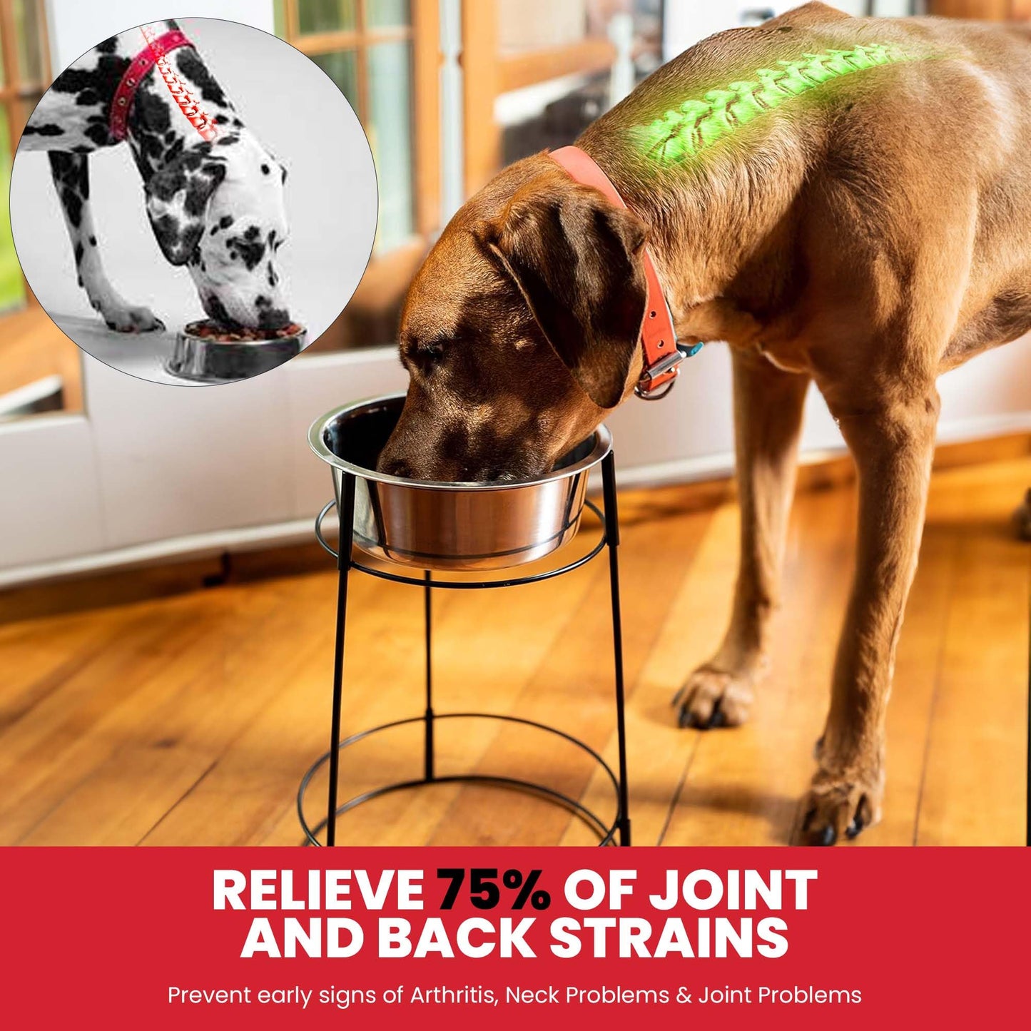 Ethical Pet Spot Hi-Rise Single Diner 2-Quart Pet Dish