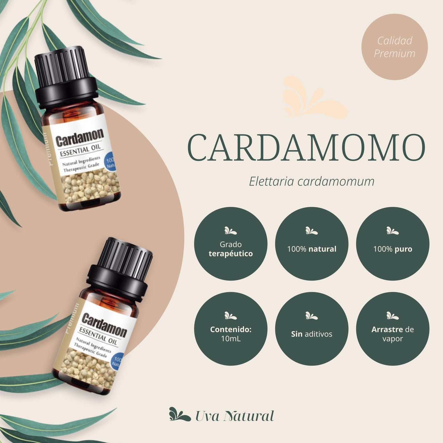 Aceites Esenciales de Cardamomo Natural UVA para Difusores y Humidificadores
