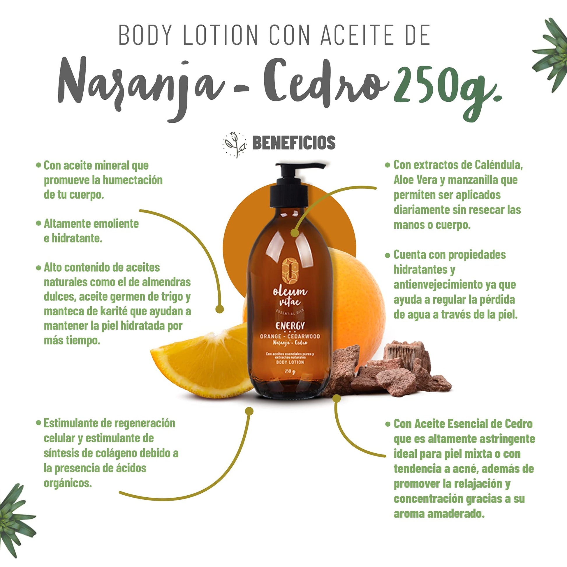 Kit de Hidratación Profunda Cedro Naranja Crema Corporal y Hair & Body Oil