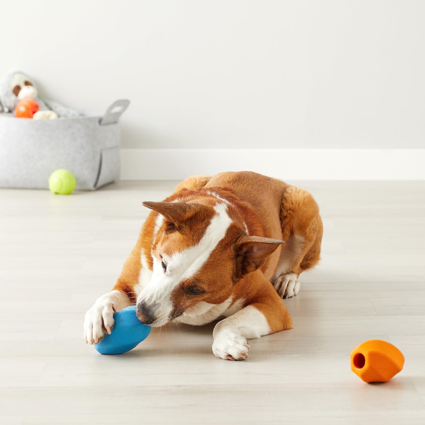 Juguete para perro, masticable dispensador de premios, 2-Pack