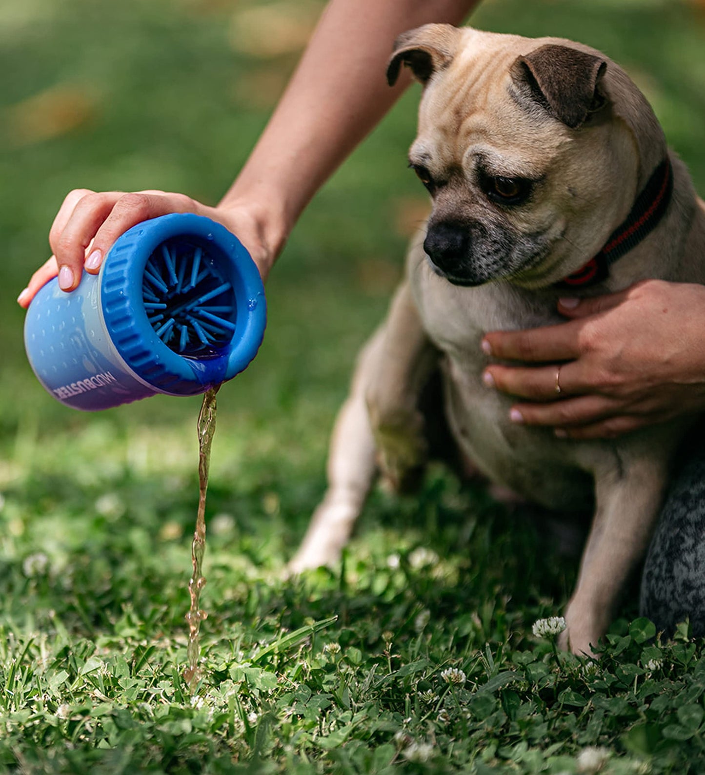 Dexas MudBuster - Lavadora portátil para patas de perro, pequeño, azul profesional