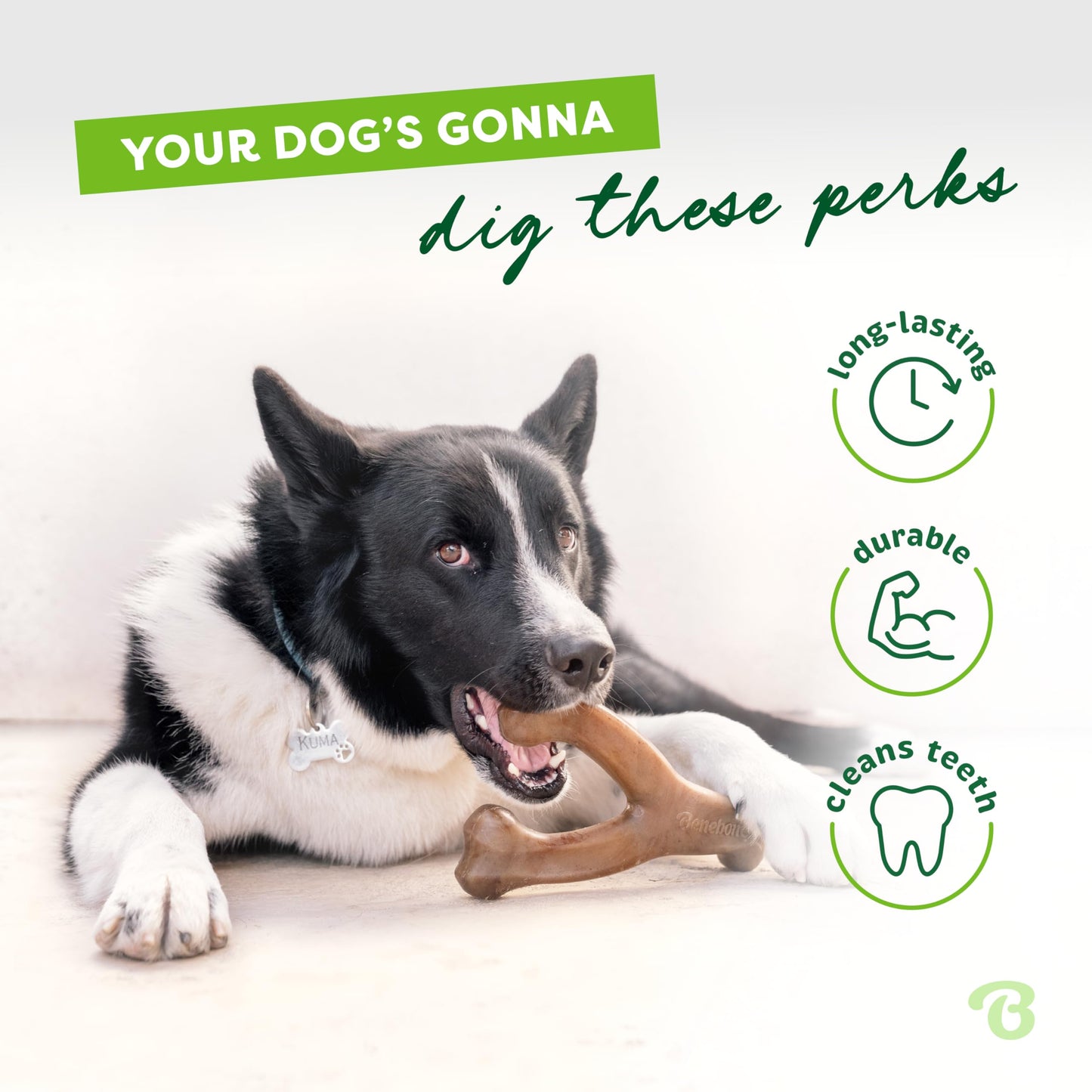 Benebone JUMBO Bacon Flavored Wishbone Chew Toy
