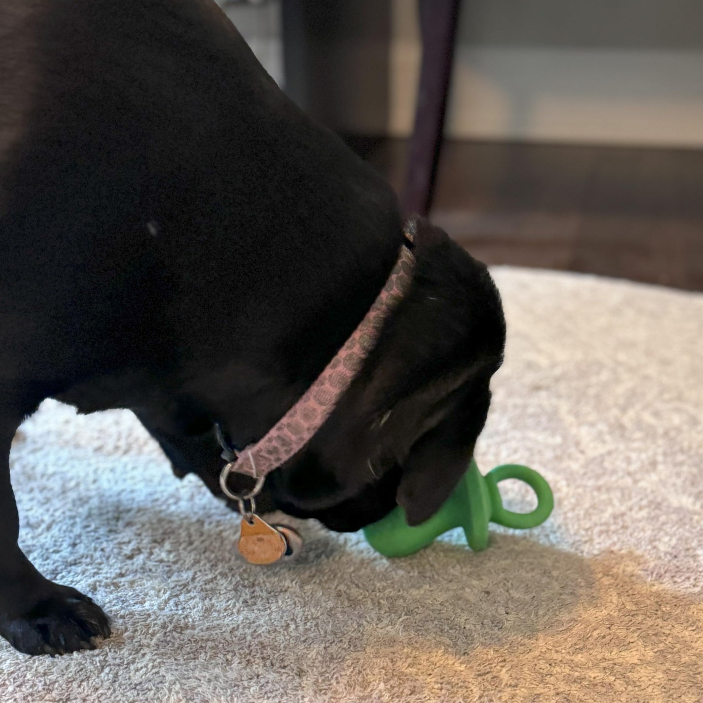 Chupete para perro de látex de 10 cm, los colores pueden variar