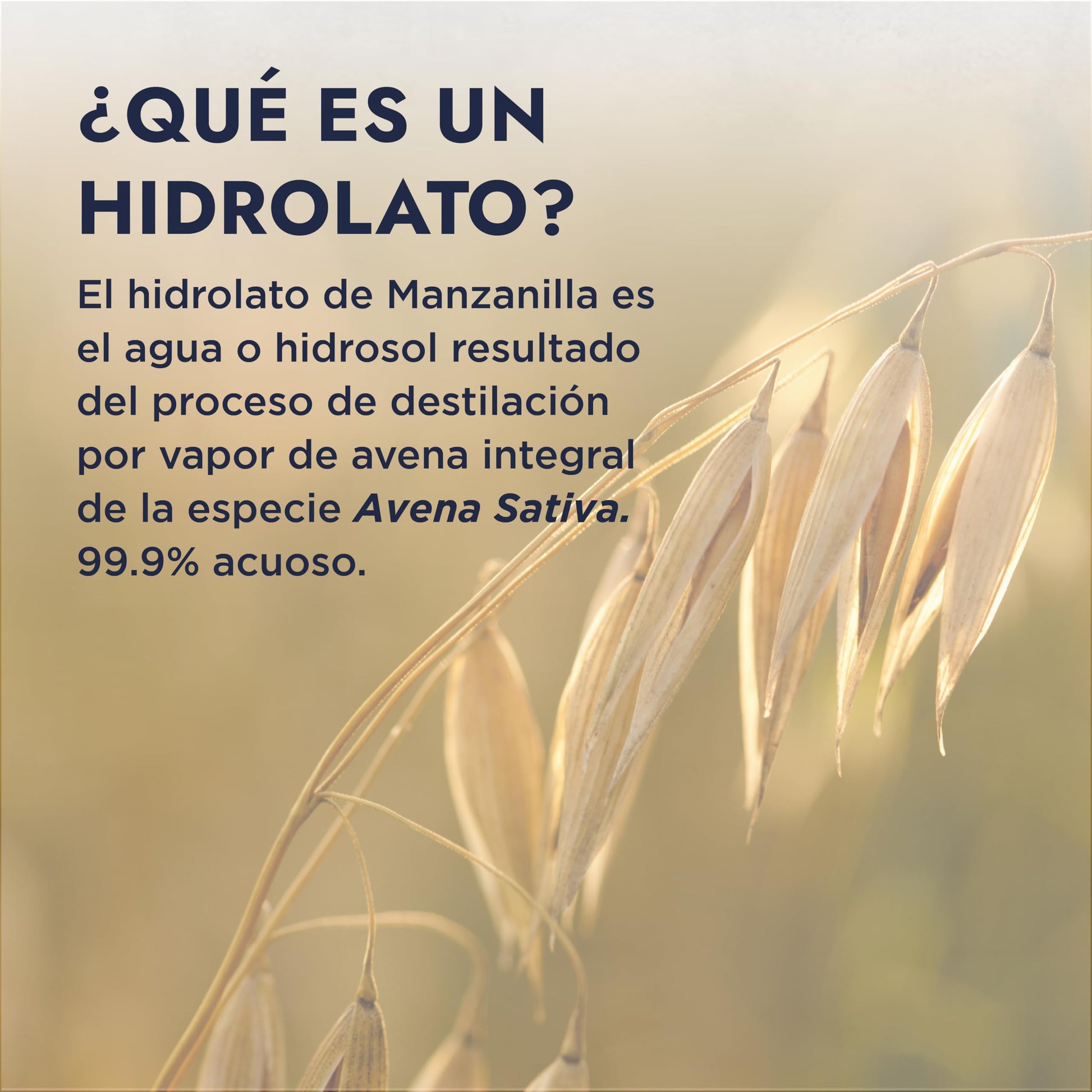 HEBBE - Hidrolato de Avena 120 ml | Capa Protectora que Evita la Pérdida de Agua | Previene la Irritación | Cuida, Regenera y Protege la Piel | Propiedades Antiinflamatorias | Mantiene el pH de la Piel | Contenido 120 ml