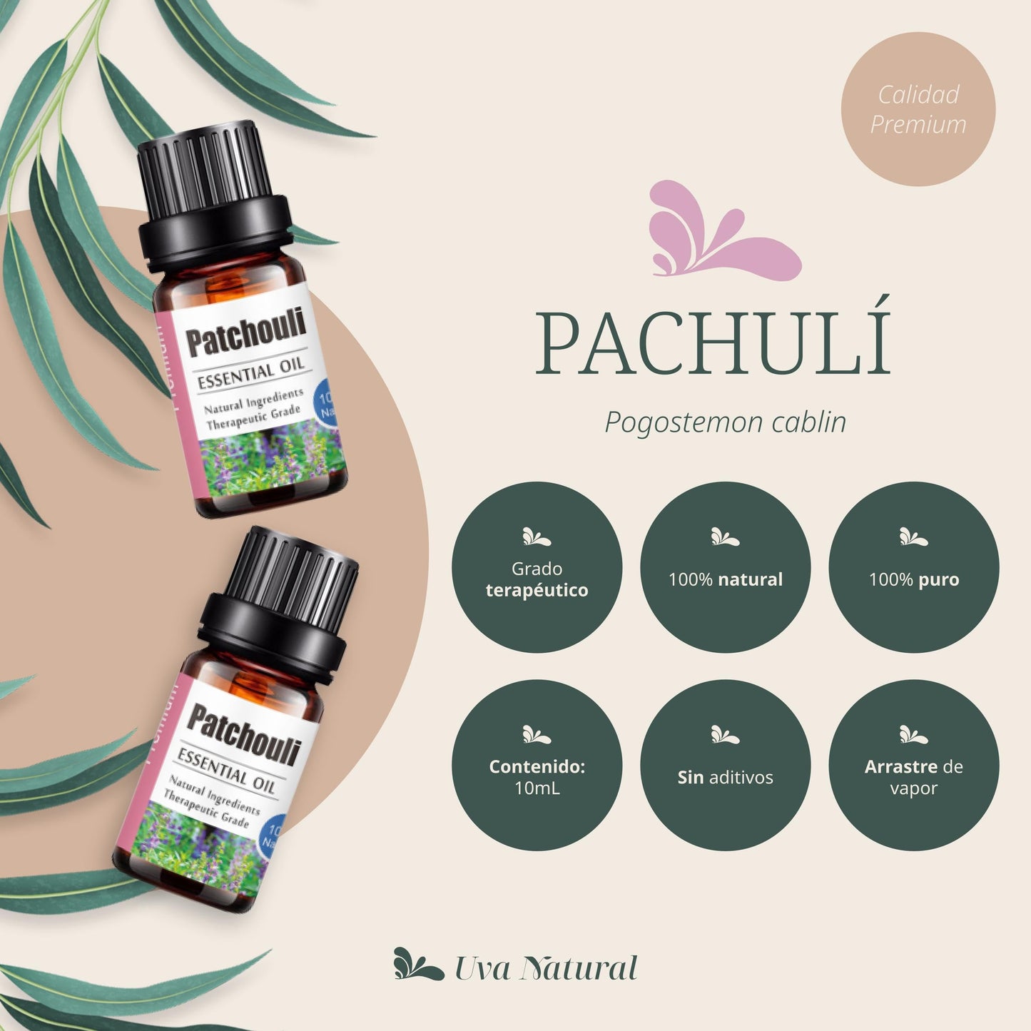 Aceites Esenciales Pachuli Natural UVa Natural 10 ML Aromaterapia Conjunto de Difusores y Humidificadores con Caja de Regalo