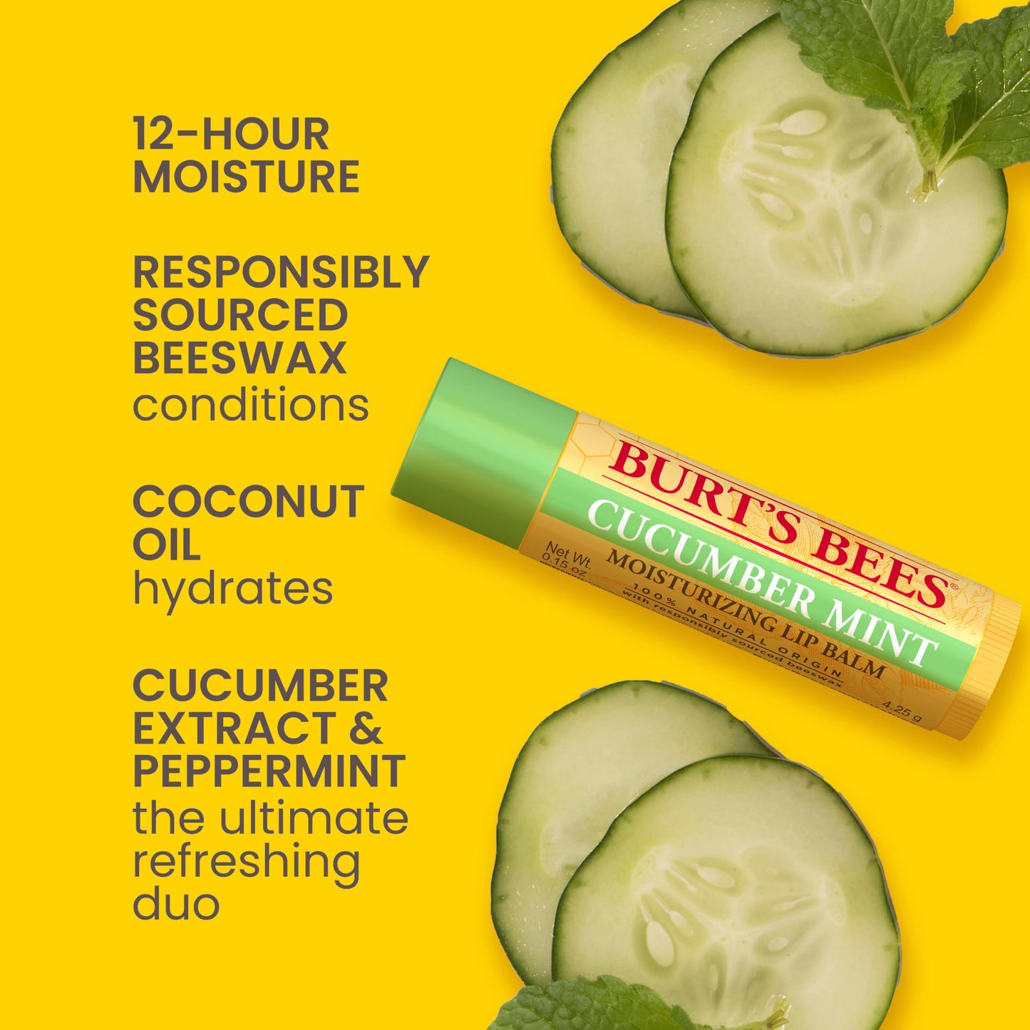 Burt's Bees Kit Freshly Picked Lip Balm 4 unidades