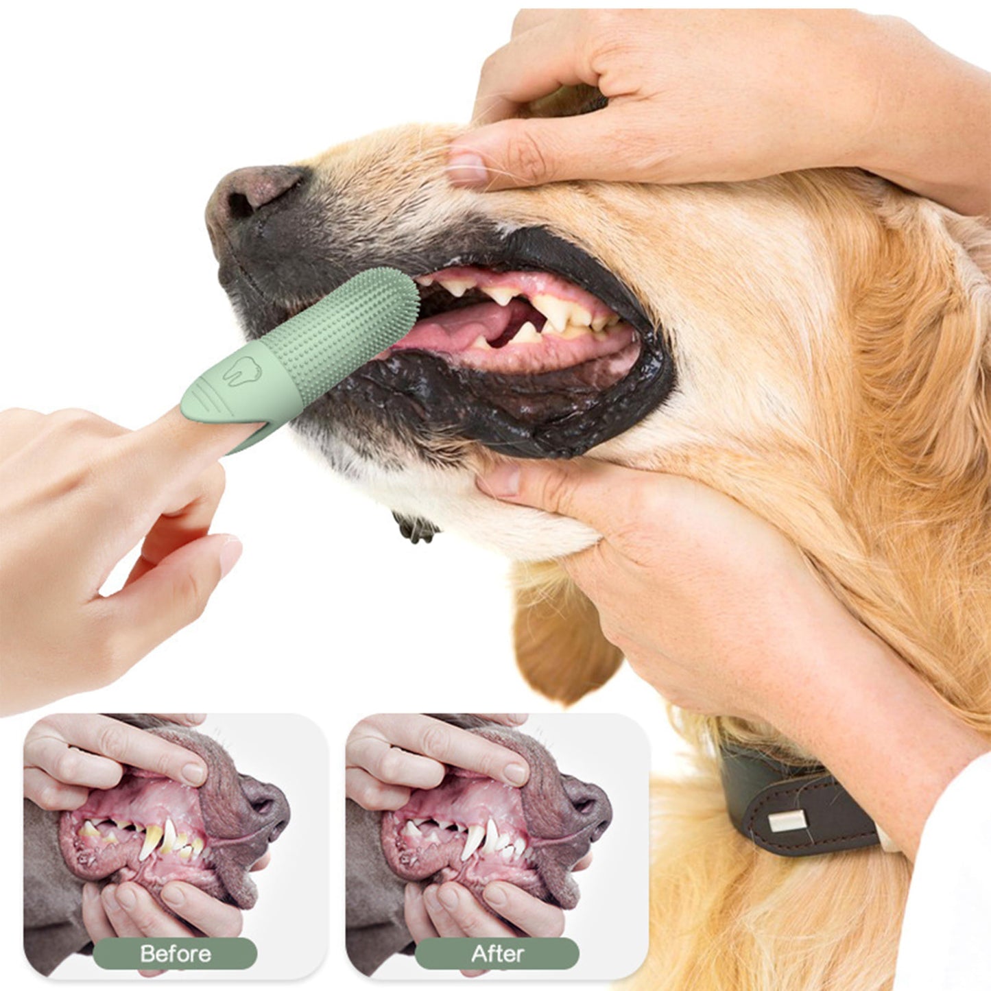 Kit Cepillos Dentales Mascotas - Pack 4 Unidades, Cerdas Suaves para Cuidado Bucal de Mascotas