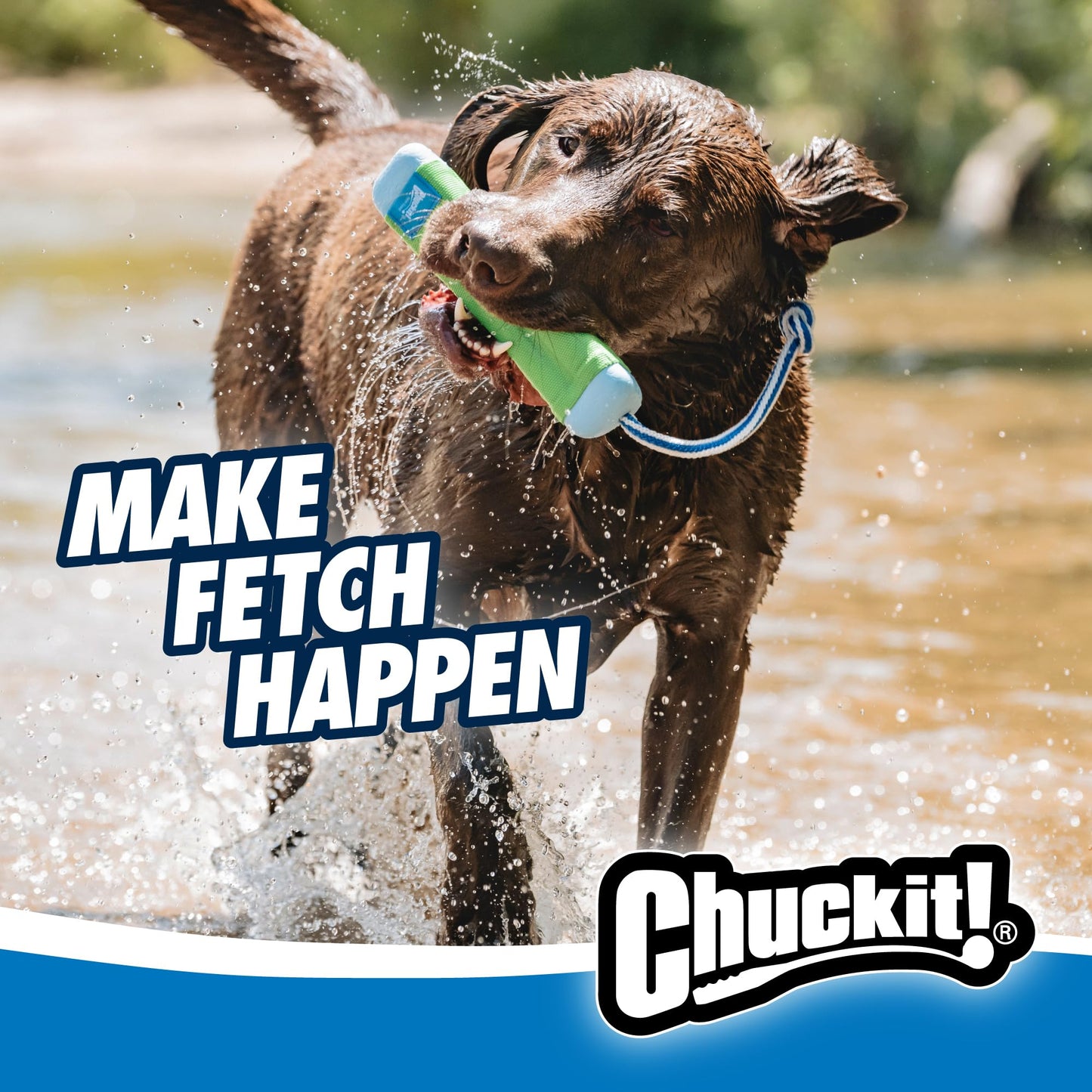 Chuckit! Amphibious Bumper Fetch and Float Juguete para Perro, Mediano (los Colores varían)