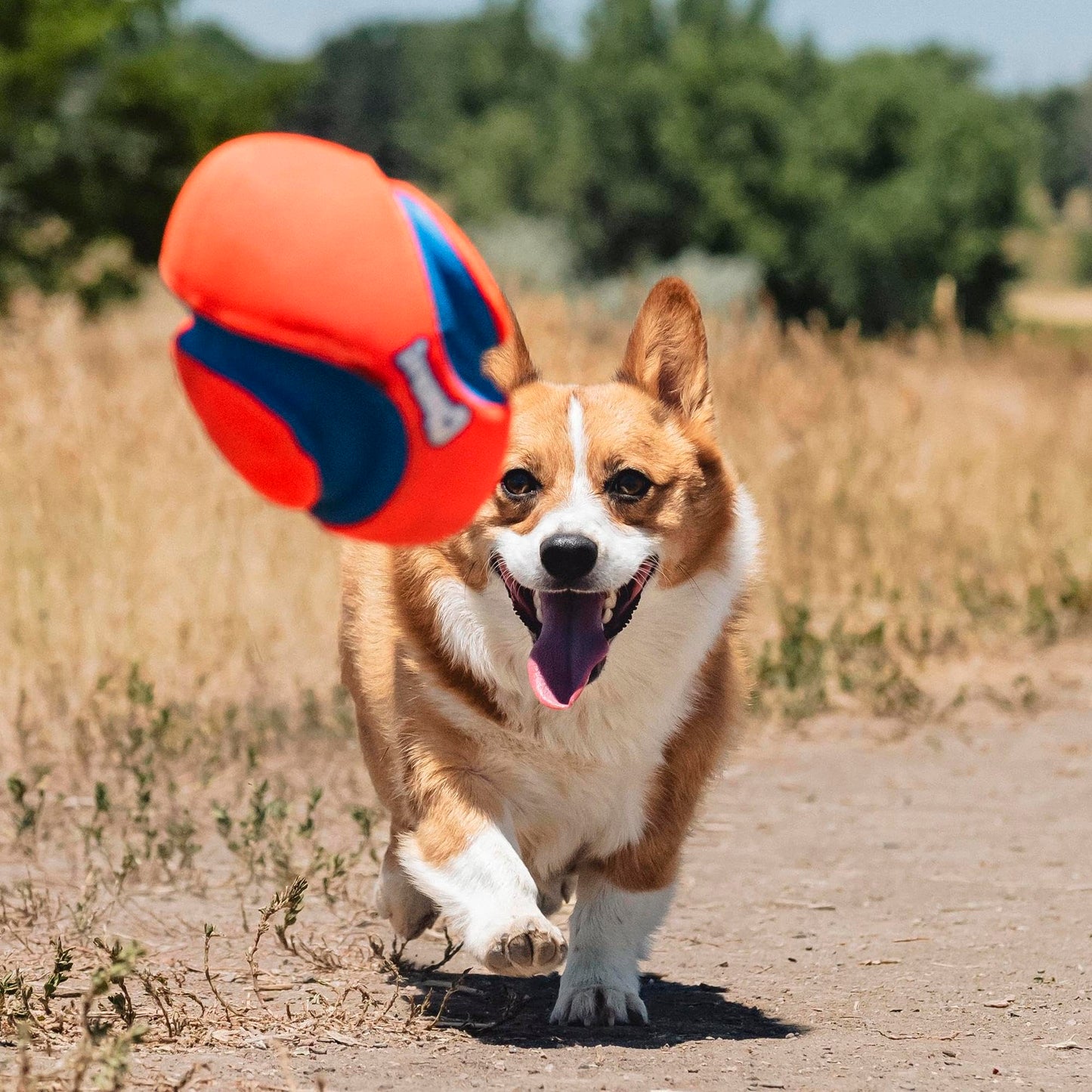 Chuckit! Petmate Fumble Fetch Juguete para Perros, pequeño