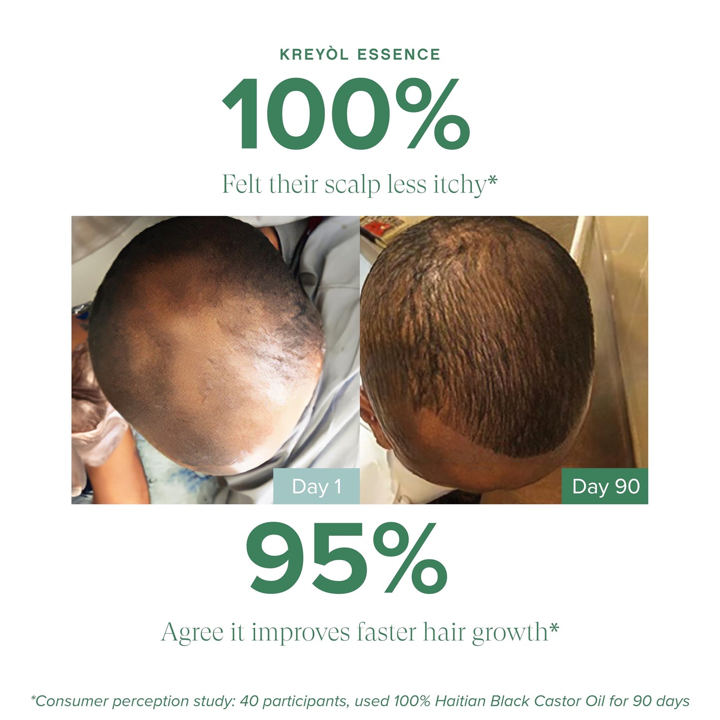 Haitian Black Castor Oil, Rosemary Mint - 100% Pure & Unrefined (Lwil Maskriti/Palma Christi) (3.4oz)