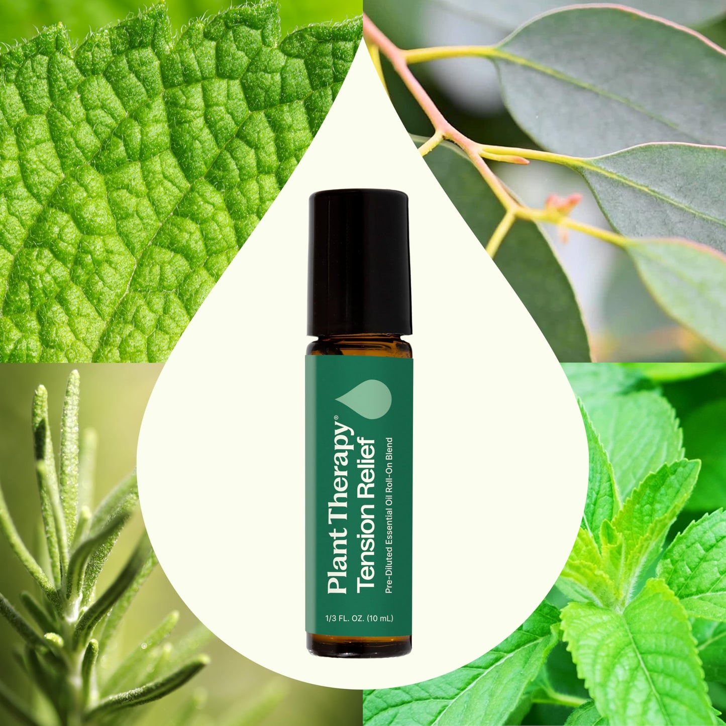Aceite en Roll on Plant Therapy Tension 10ml