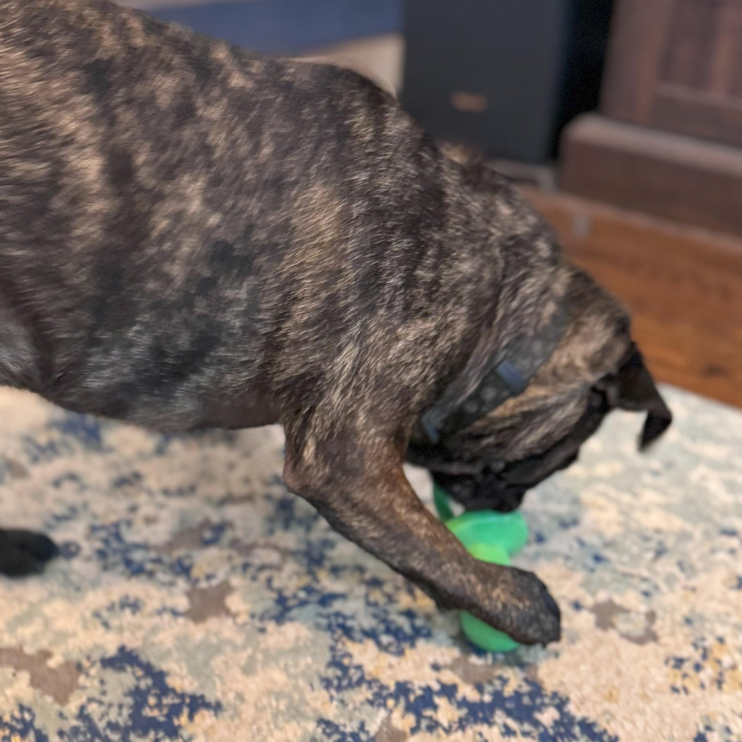 Chupete para perro de látex de 10 cm, los colores pueden variar