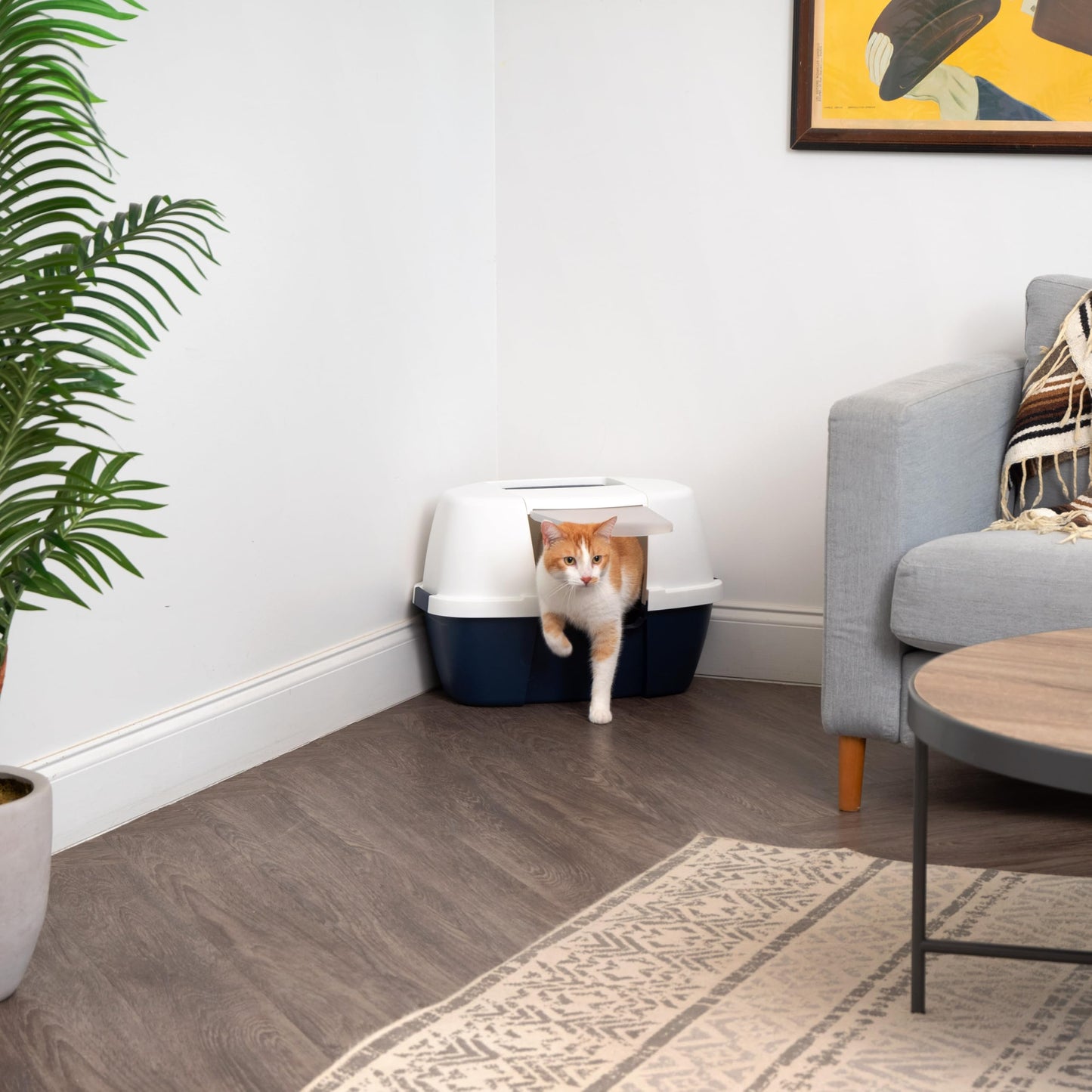 IRIS USA Large Enclosed Corner Cat Litter Box with Front Door Flap and Scoop, Hooded Kitty Litter Tray with Easy Access Lift Top Handle and Buckles for Portability and Privacy, Navy/White