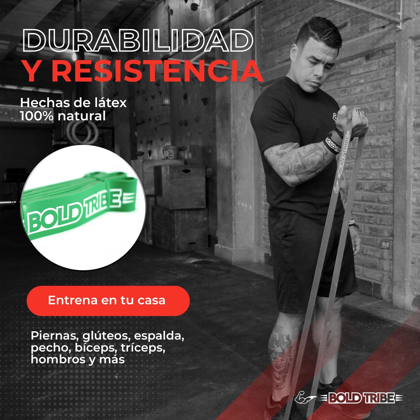 BOLD TRIBE Liga de Resistencia Verde No. 4 - Banda Elástica de 22-56 kg - Bandas de Resistencia para Ejercicio - Cross Training, Calistenia y Entrenamiento Funcional - Gym en Casa