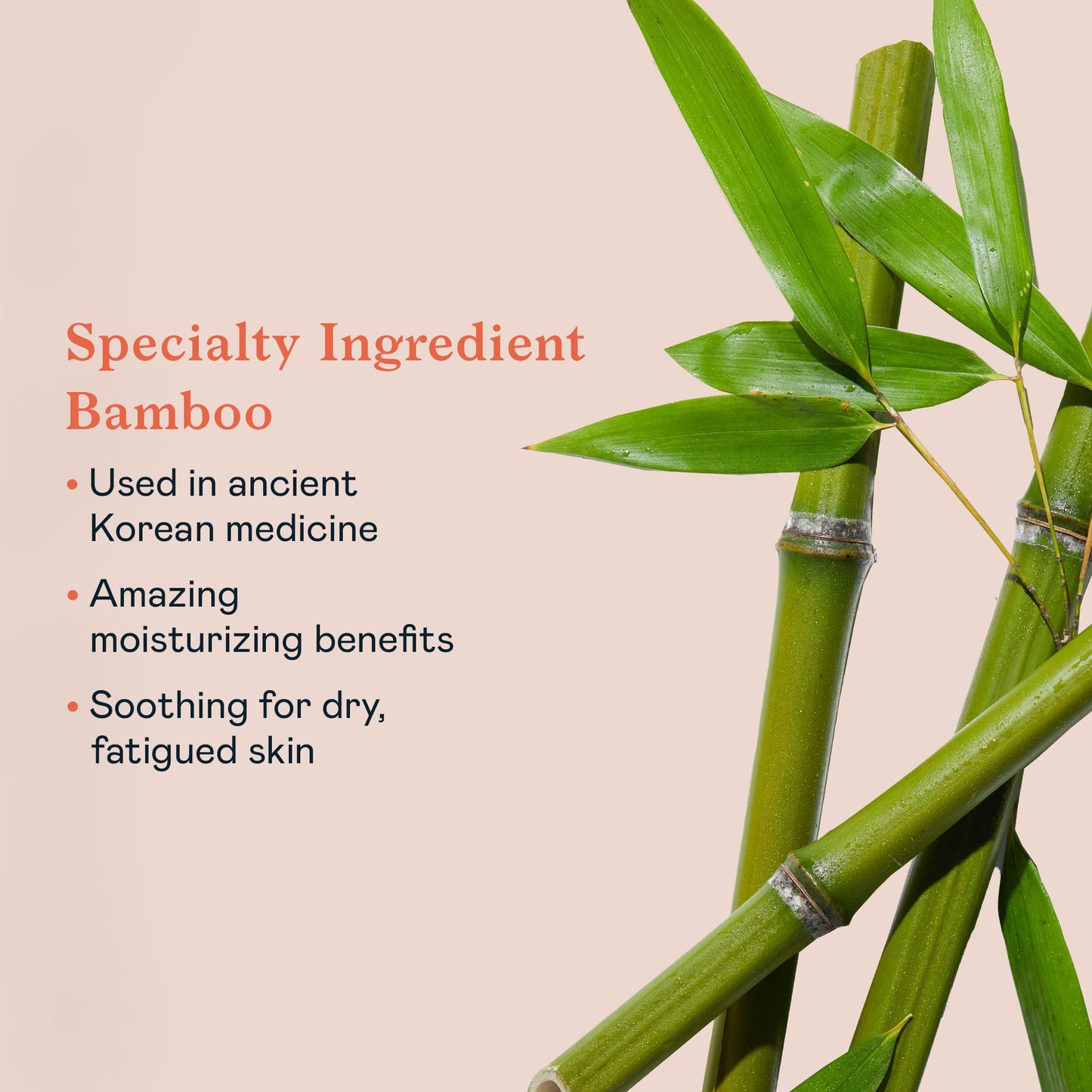 Erborian Bamboo iced cream
