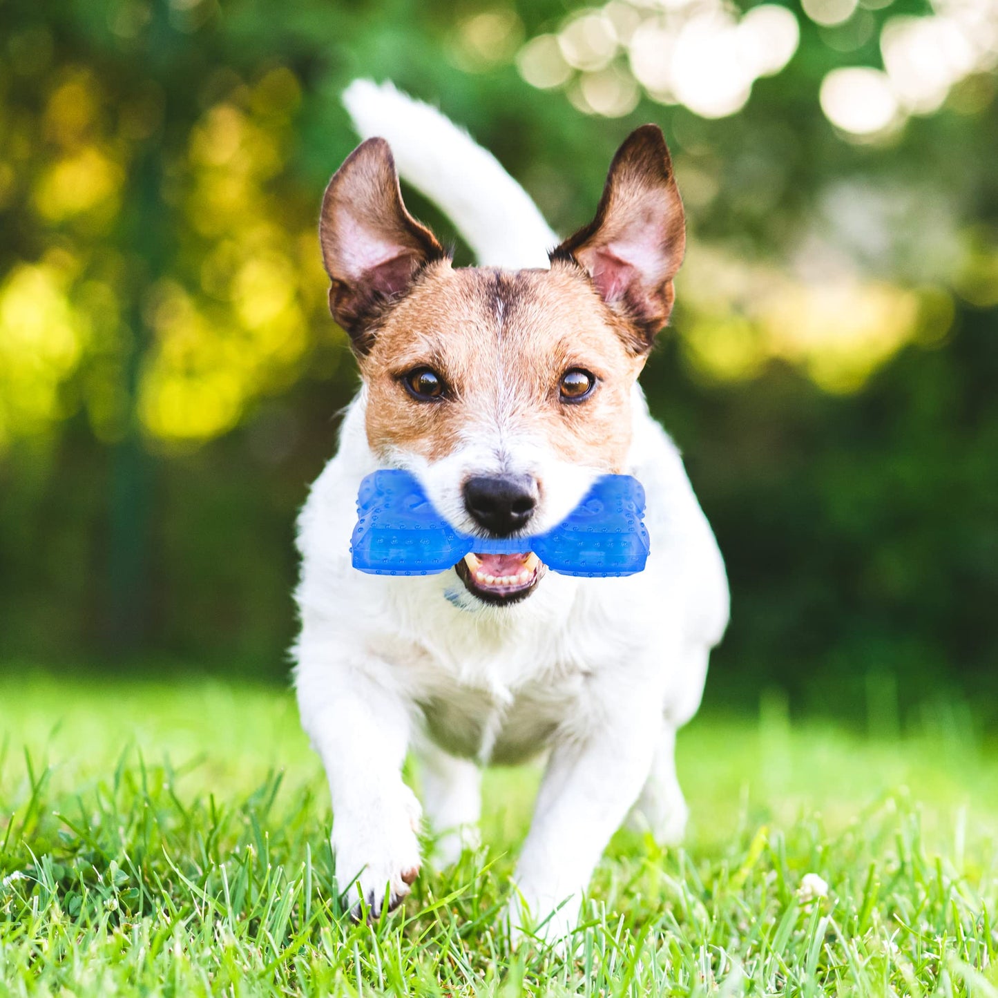 Juguete Masticable de Refrigeración NWK para Perros Cachorros con Golosinas