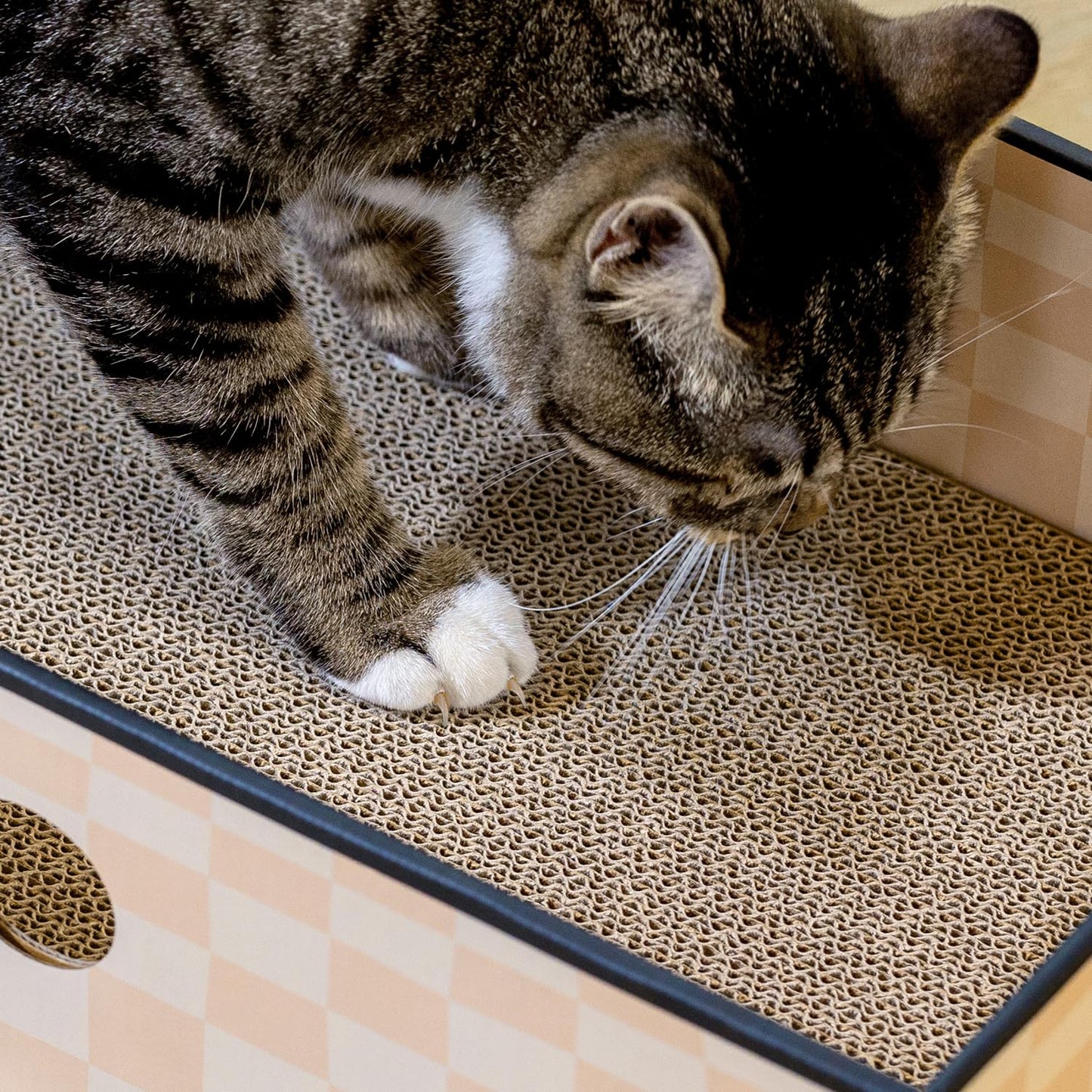 Conlun Caja Rascadora para Gatos con Tablero Rascador para Gatos Portátil De 3 Capas Corrugado para Gatos Juguetes para Gatos Cama De Cartón De Doble Cara para Uso Pesado, Diseño De Orificio