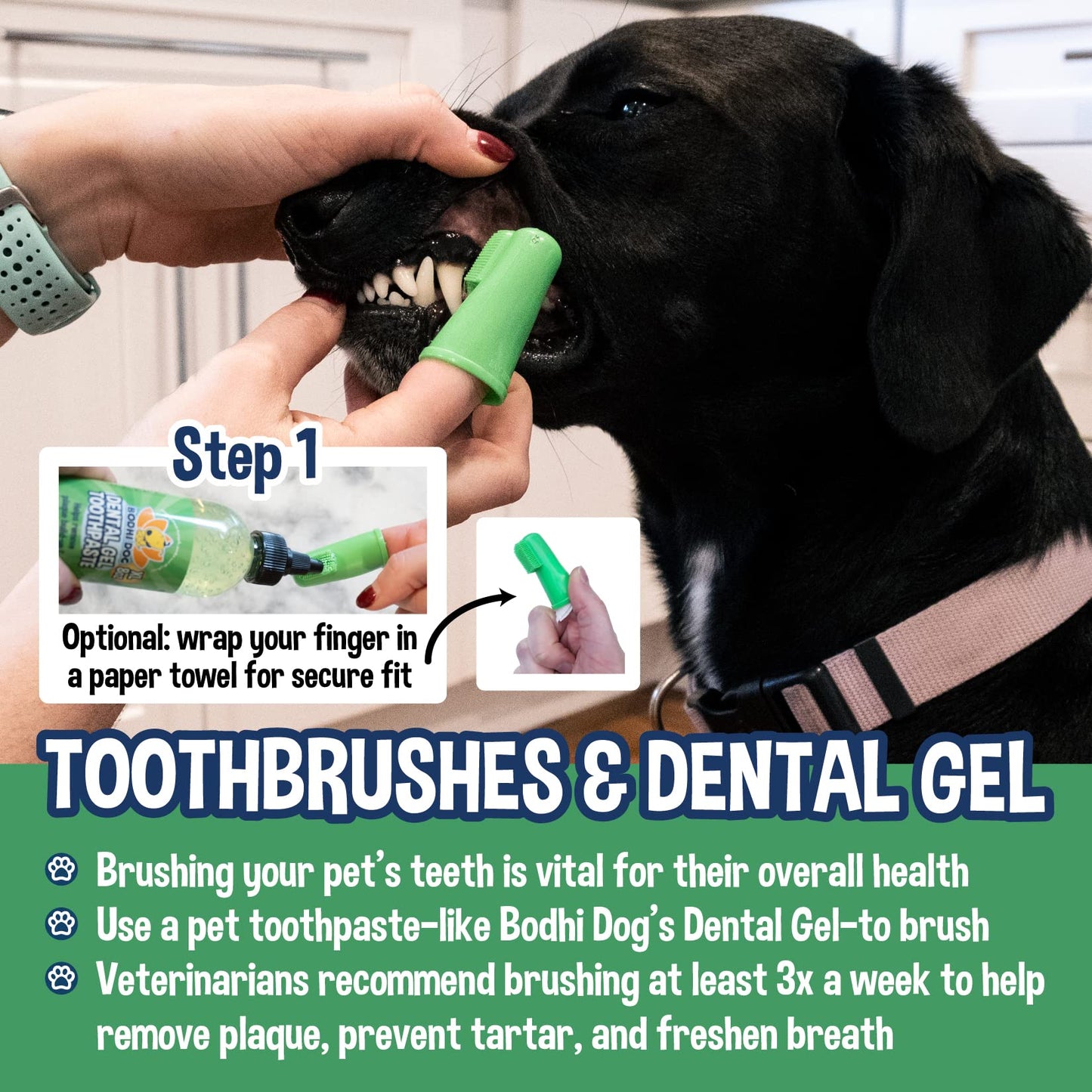 Cepillos de dientes desechables suaves Bodhi Dog para perros y gatos, cepillo dental suave de silicona, cuidado dental y bucal, 50 unidades