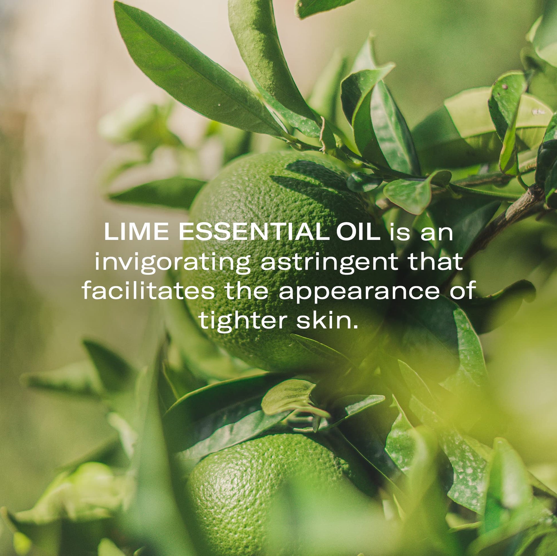 Suero Concentrado Odacité Buriti Lima para Piel Flácida