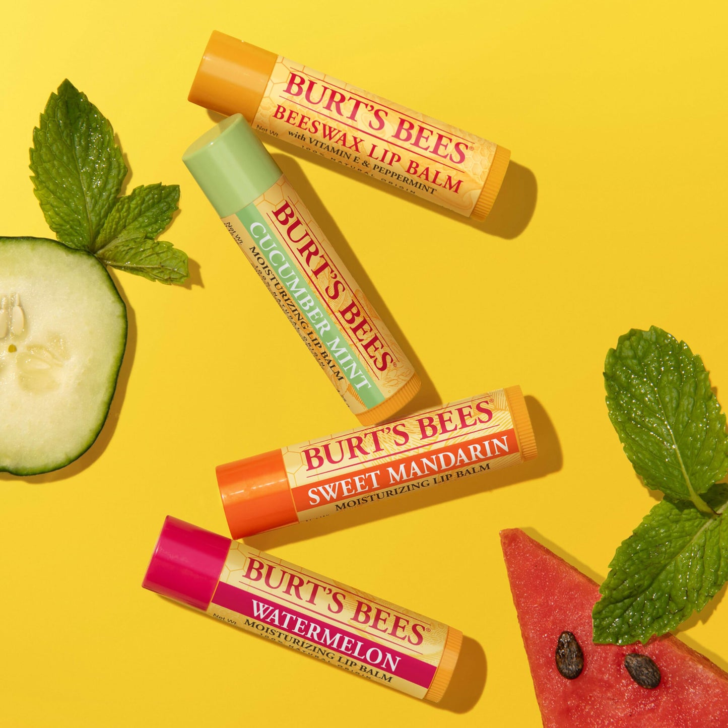 Burt's Bees Kit Freshly Picked Lip Balm 4 unidades