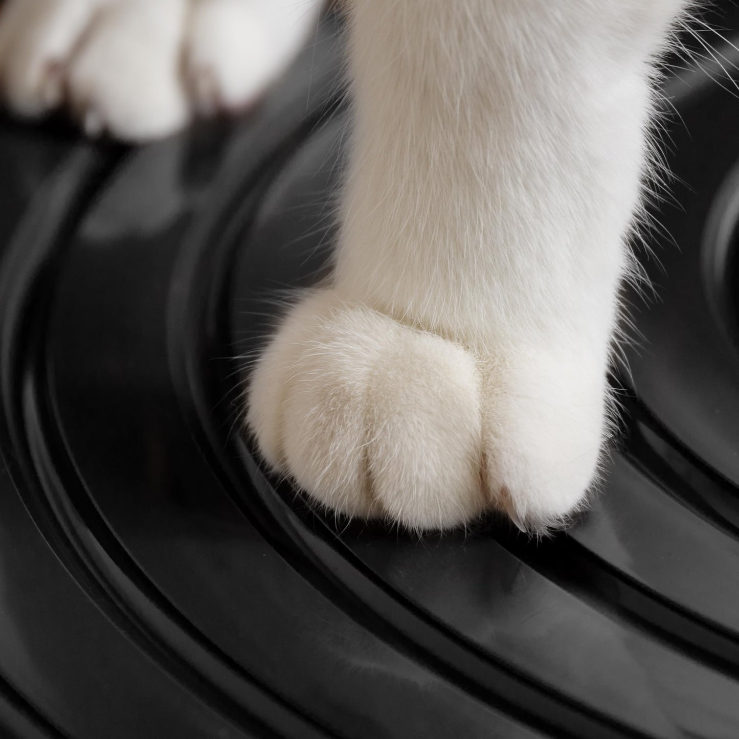 IRIS USA Bandeja de Arena para Gatos de Entrada Superior Redonda y Elegante con Pala, diseño Curvo con Cubierta y surcos para atrapar partículas de Arena y Paredes para privacidad, Blanco/Negro