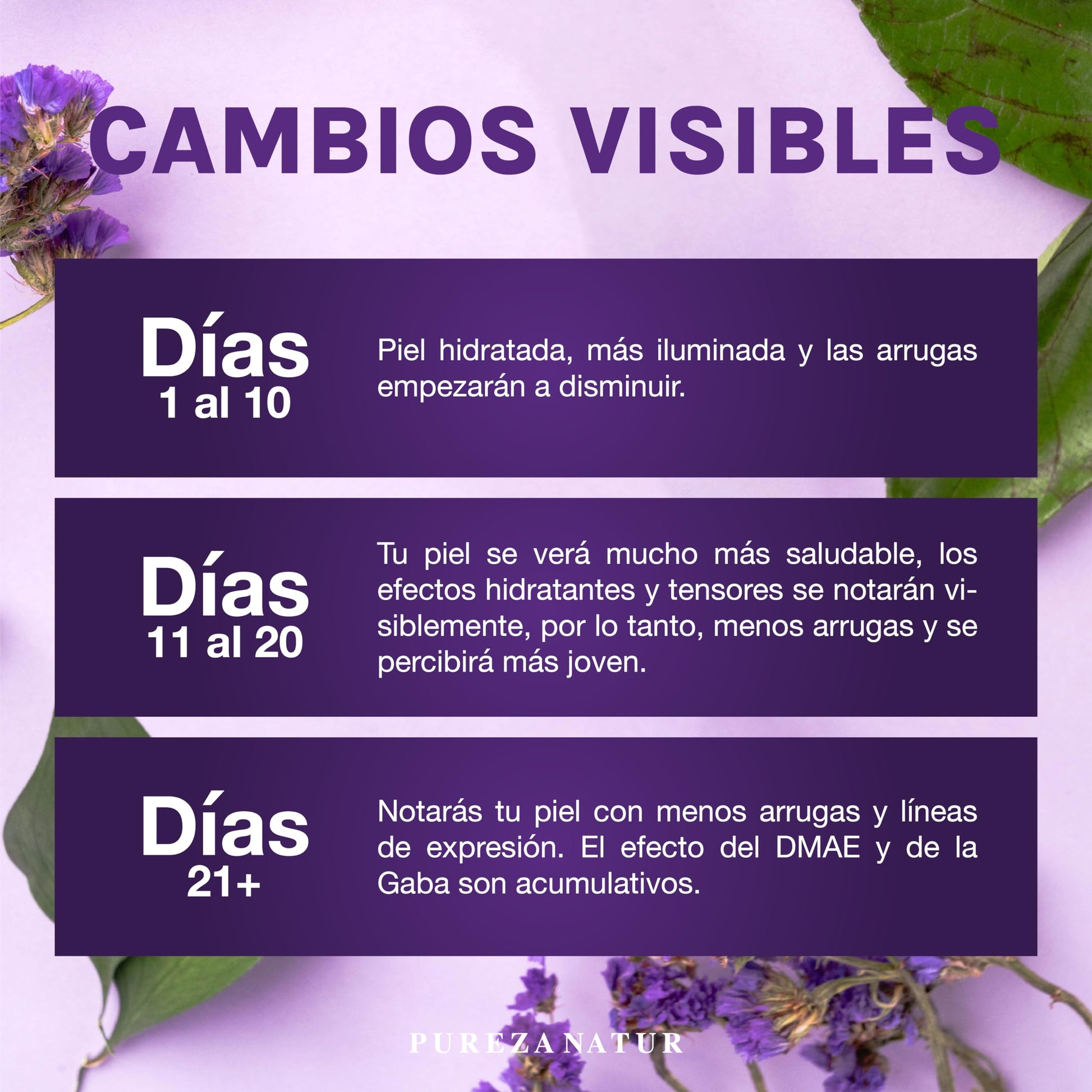 PUREZANATUR Suero facial Efecto Tensor Lifting con Gaba Y DMAE + Acido hialurónico, colágeno y elastina | Serum hidratante que aporta elasticidad 50ml (50ml)