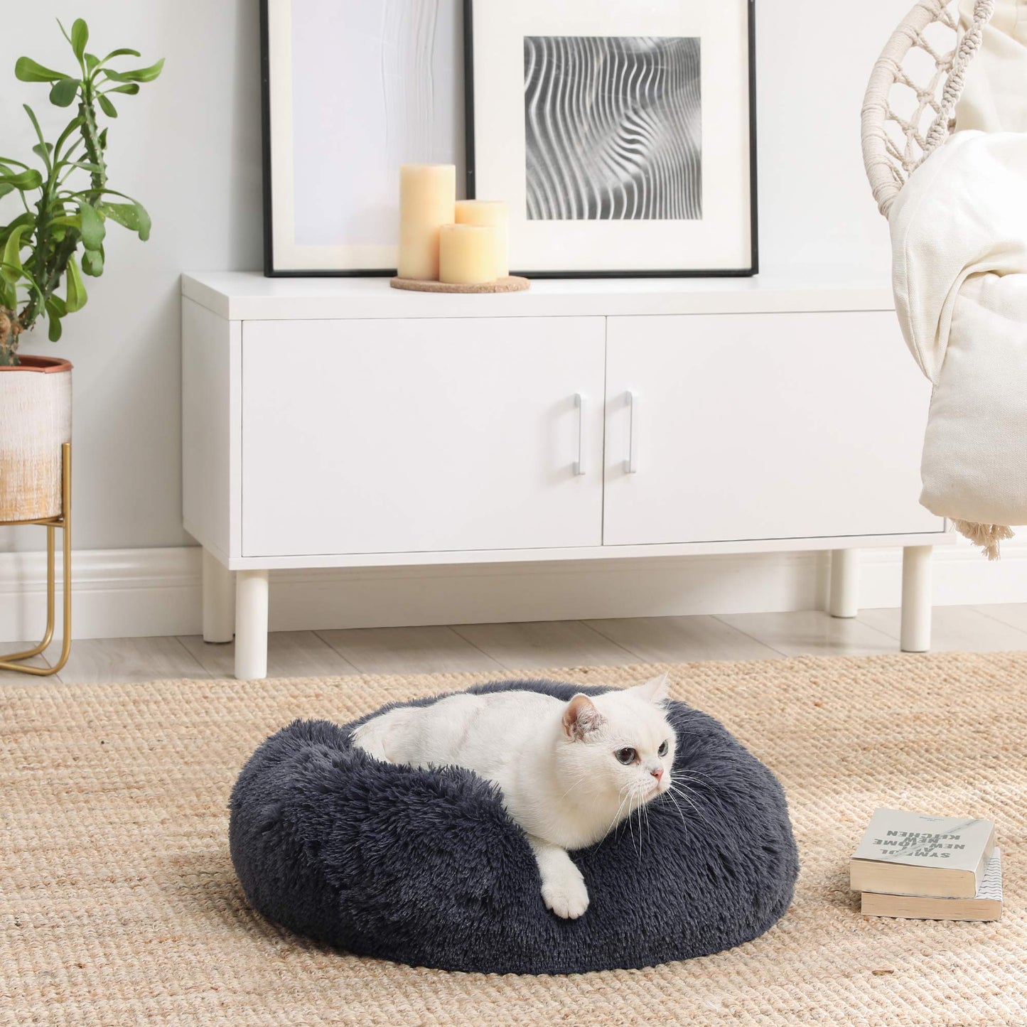 Feandrea Cama de Perros, Cama para Mascotas, Diámetro de 50 cm, Cojín Central Extraíble y Lavable, Alfombra de Felpa, Gris Oscuro MPGW037G02