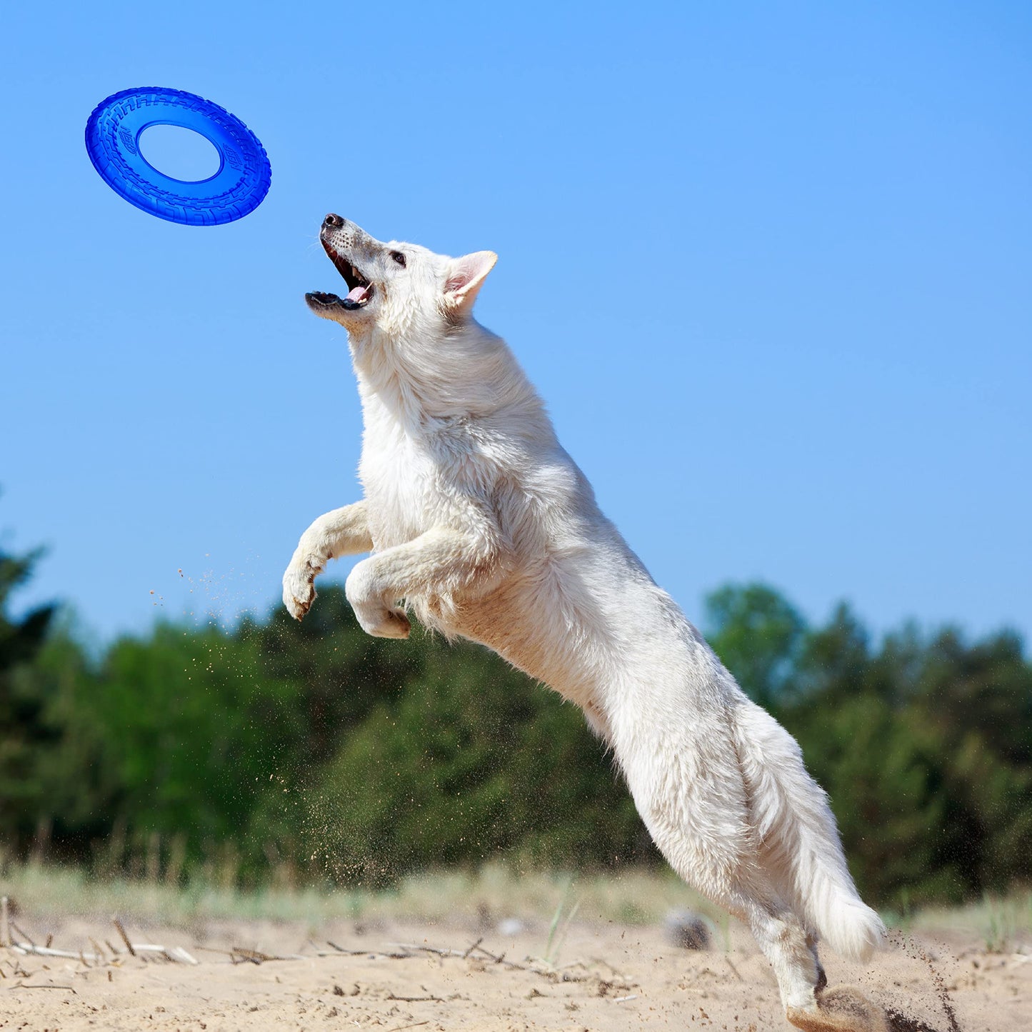 Disco Volador Nerf Dog Azul Translúcido Mejorado de 10 Pulgadas
