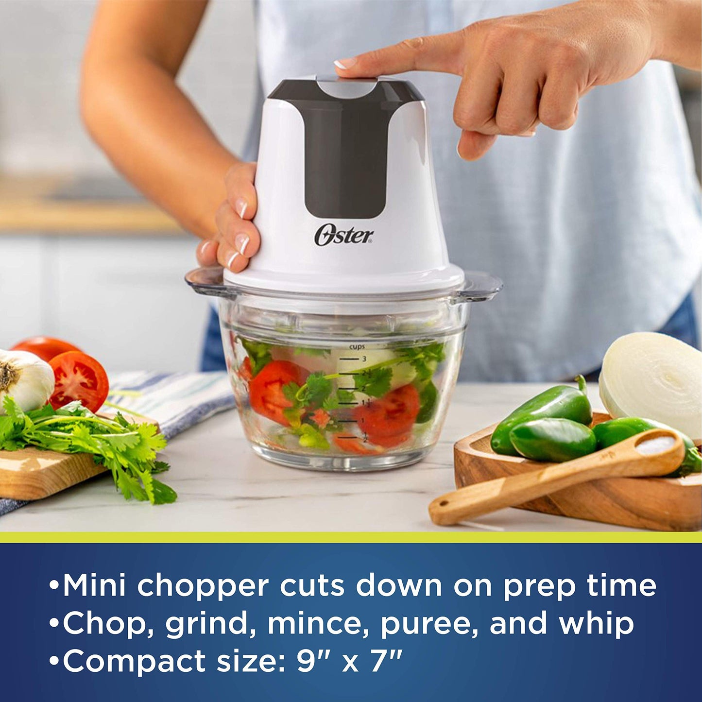 Picador de Alimentos de Vidrio Oster 3 Tazas para Cocina