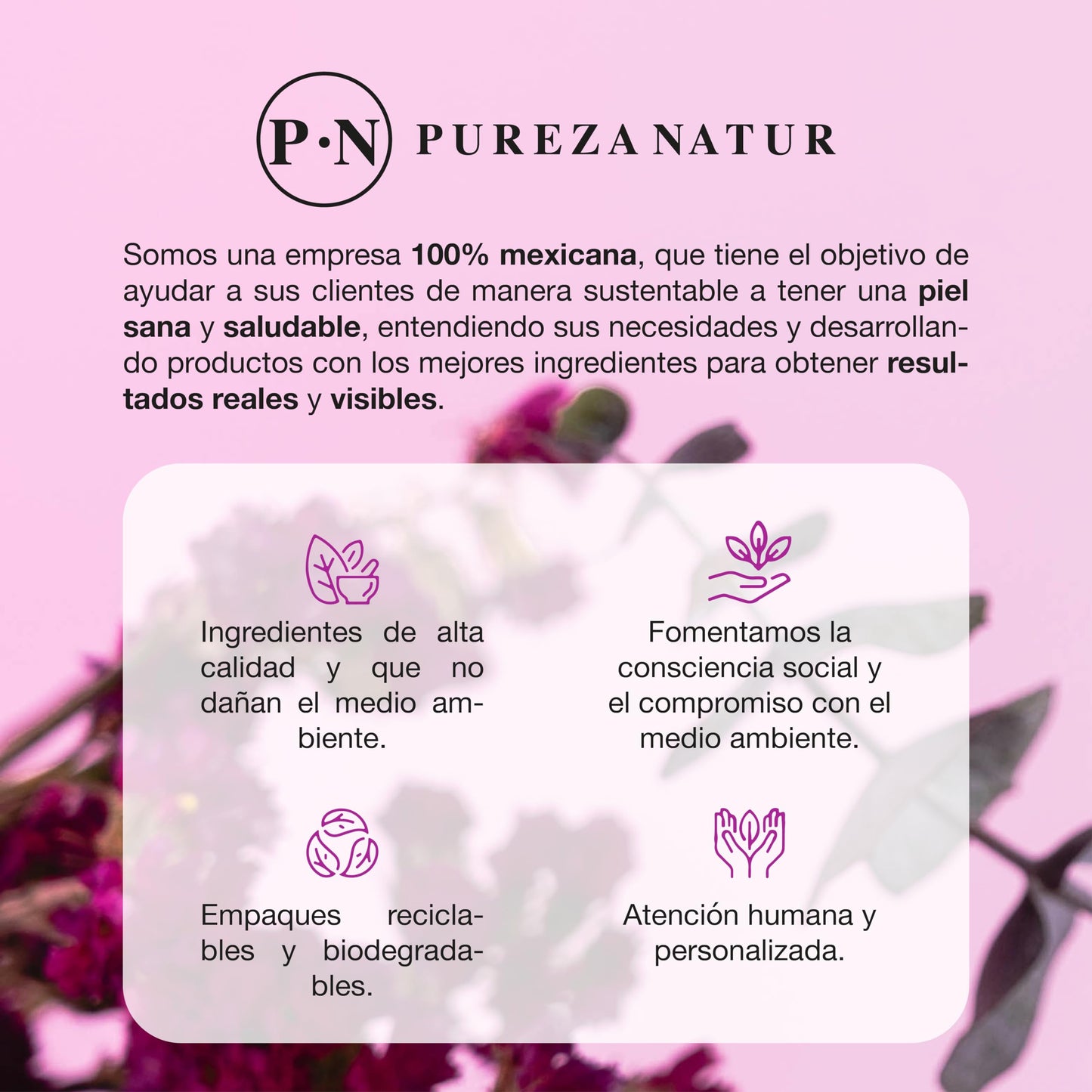 PUREZA NATUR Serum Retinol + Vitaminas A, B5, E, C + Acido hialuronico facial hidratante y reparador | Suero Reductor de líneas de expresión e imperfecciones en la piel 50ml