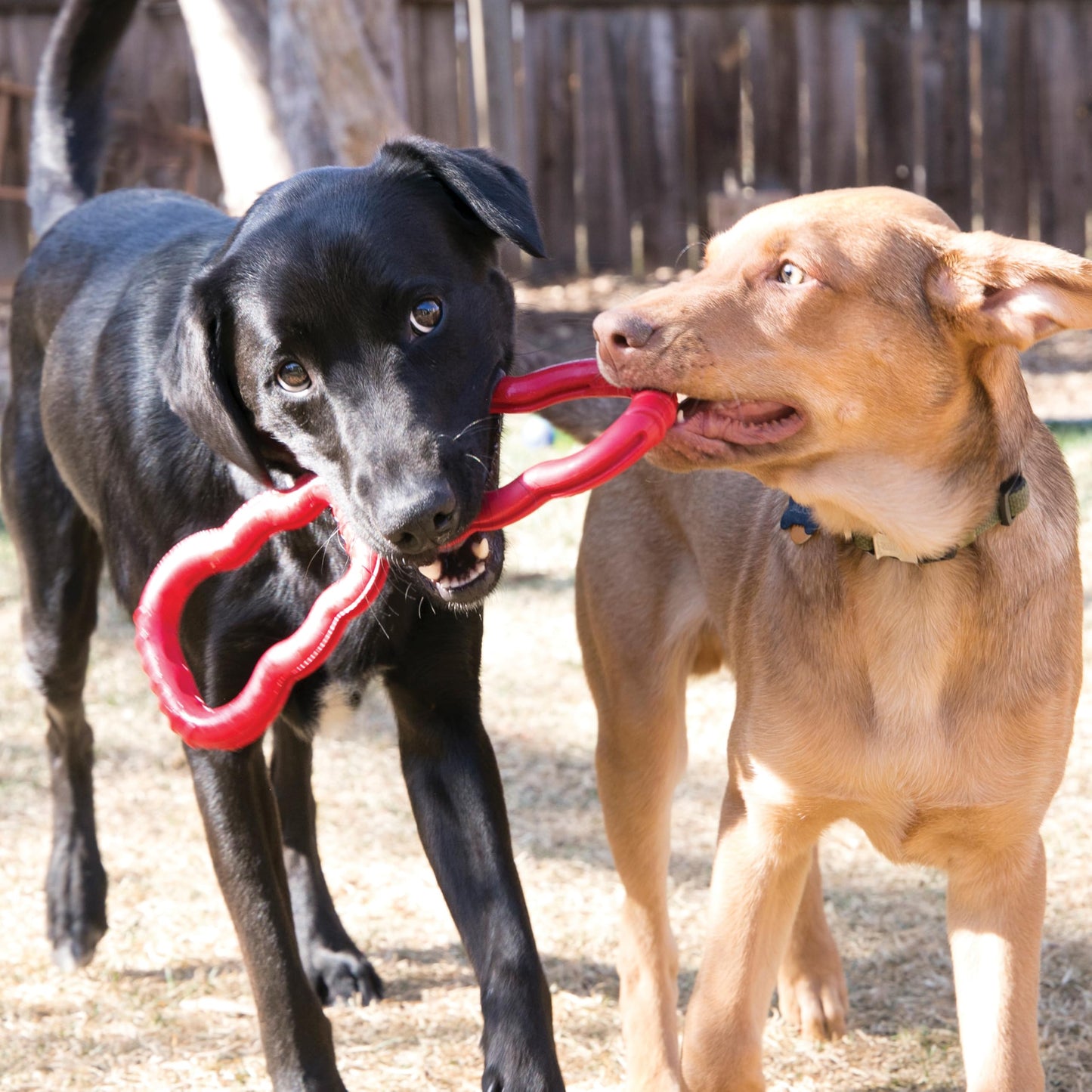 Kong Juguete remolcador para Perro, Rojo