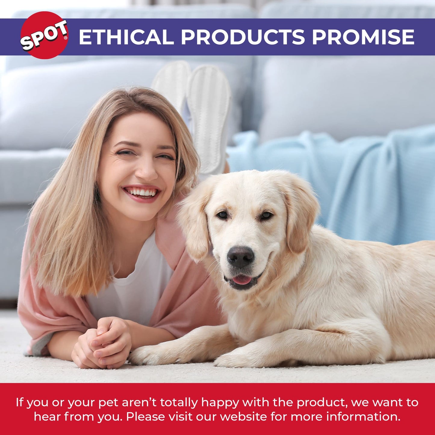 Ethical 6115 - Plato de cerámica para Perro (4.75 Pulgadas)