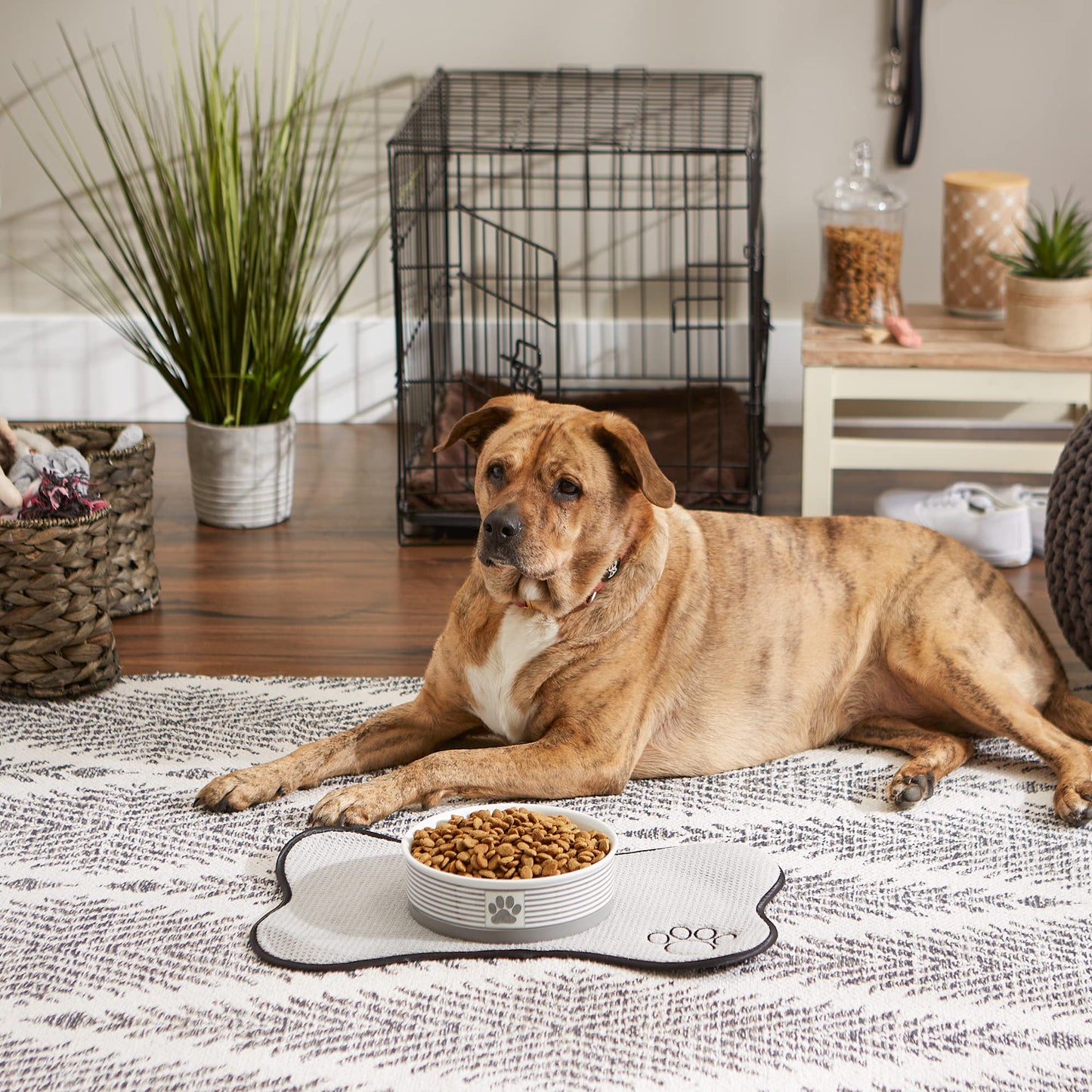 DII Bone Dry Paw Patch & Stripes Ceramic Pet Bowl for Food & Water with Non-Skid Silicone Rim for Dogs and Cats (Large - 7.5" Dia x 4"H) Gray