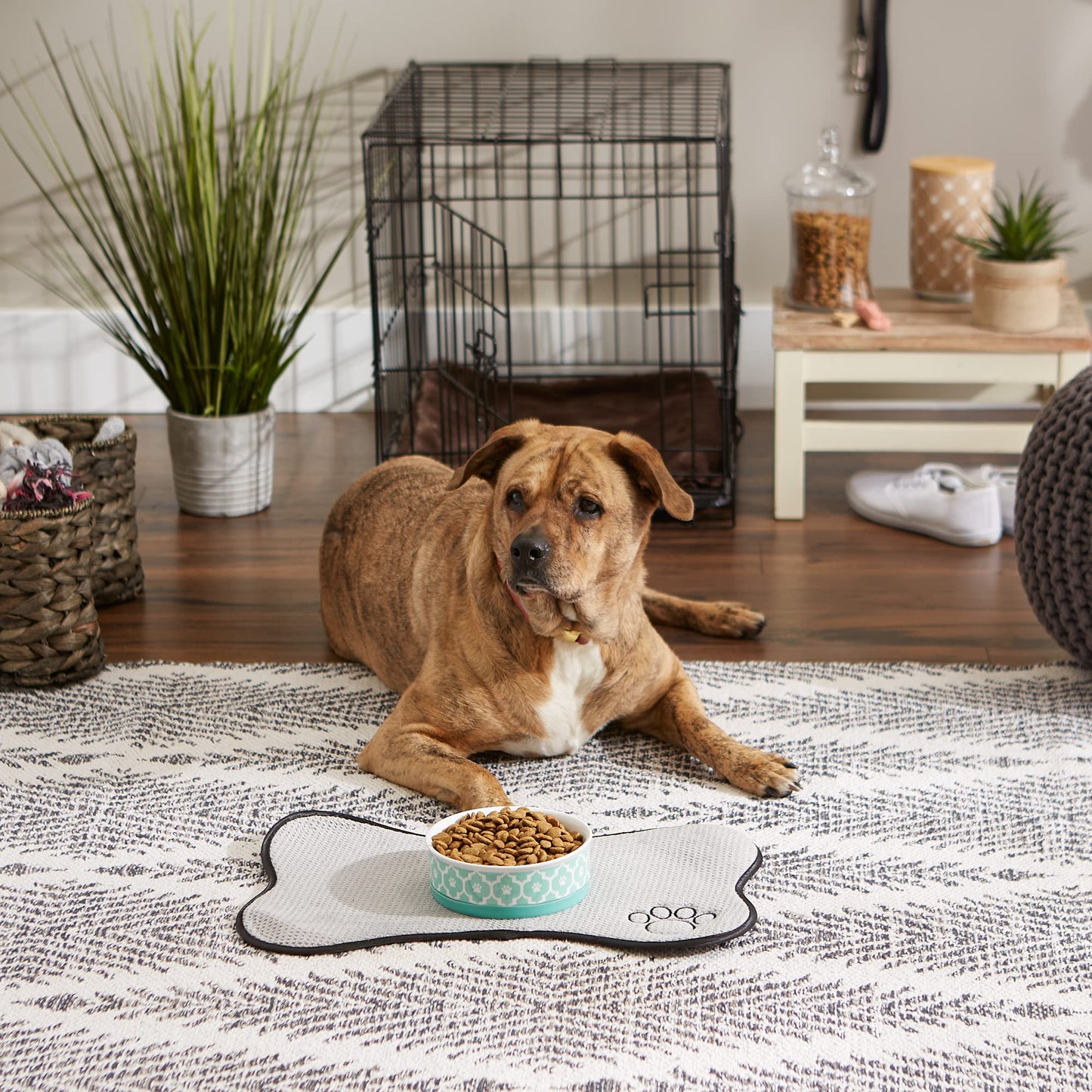DII Bone Dry Lattice Ceramic Medium Pet Bowl For Food & Water, 6" Dia x 2"H, With Non-Skid Silicone Rim for Dogs and Cats-Aqua