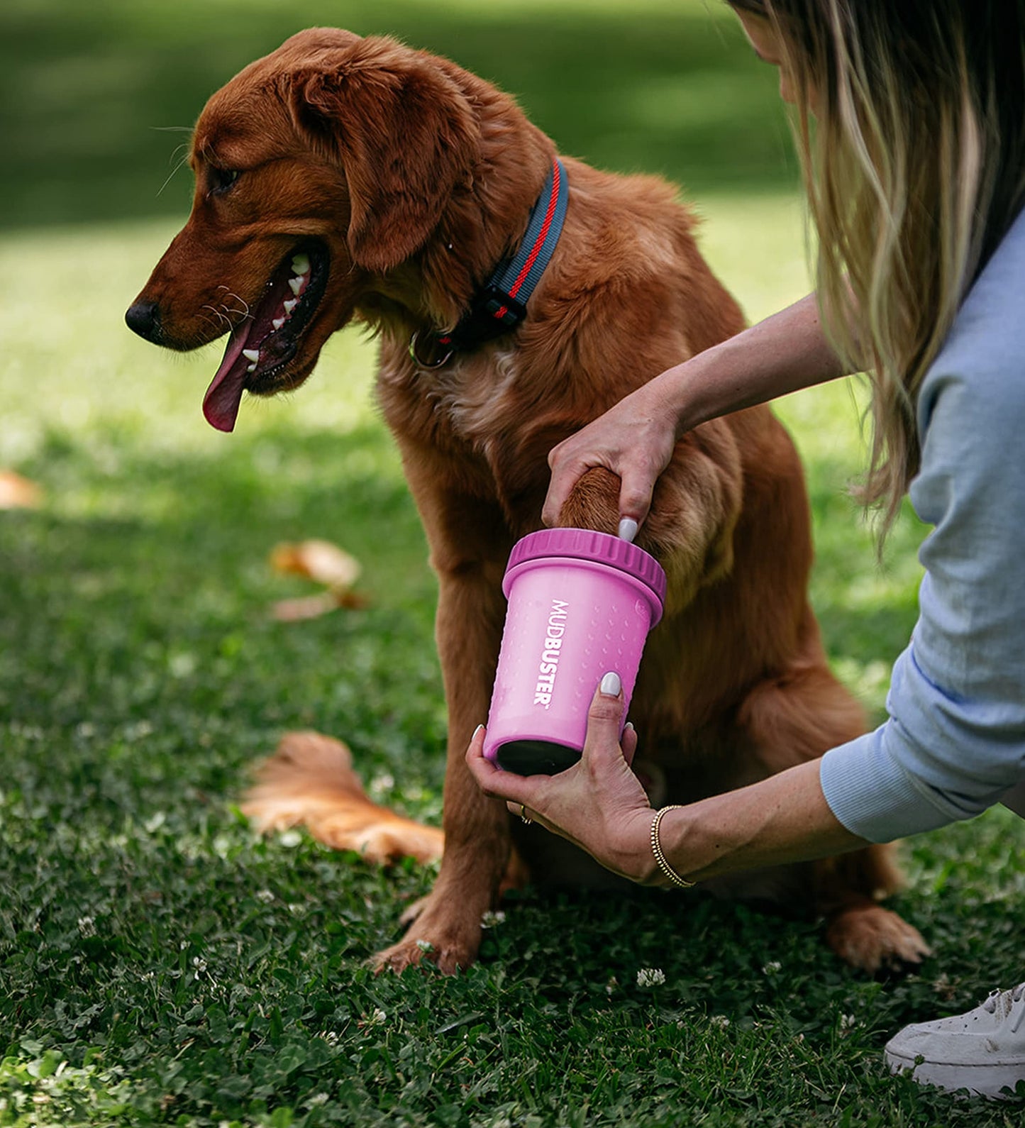 Dexas MudBuster - Limpiador portátil para patas de perro en fucsia para perros y gatos