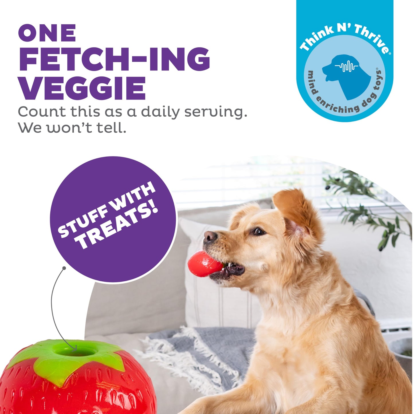 Planet Dog Orbee Tuff Strawberry, Durable Dog Chew-Play Toy with Treat Spot, 100% Guaranteed, Made in The USA, 3-Inch, Red