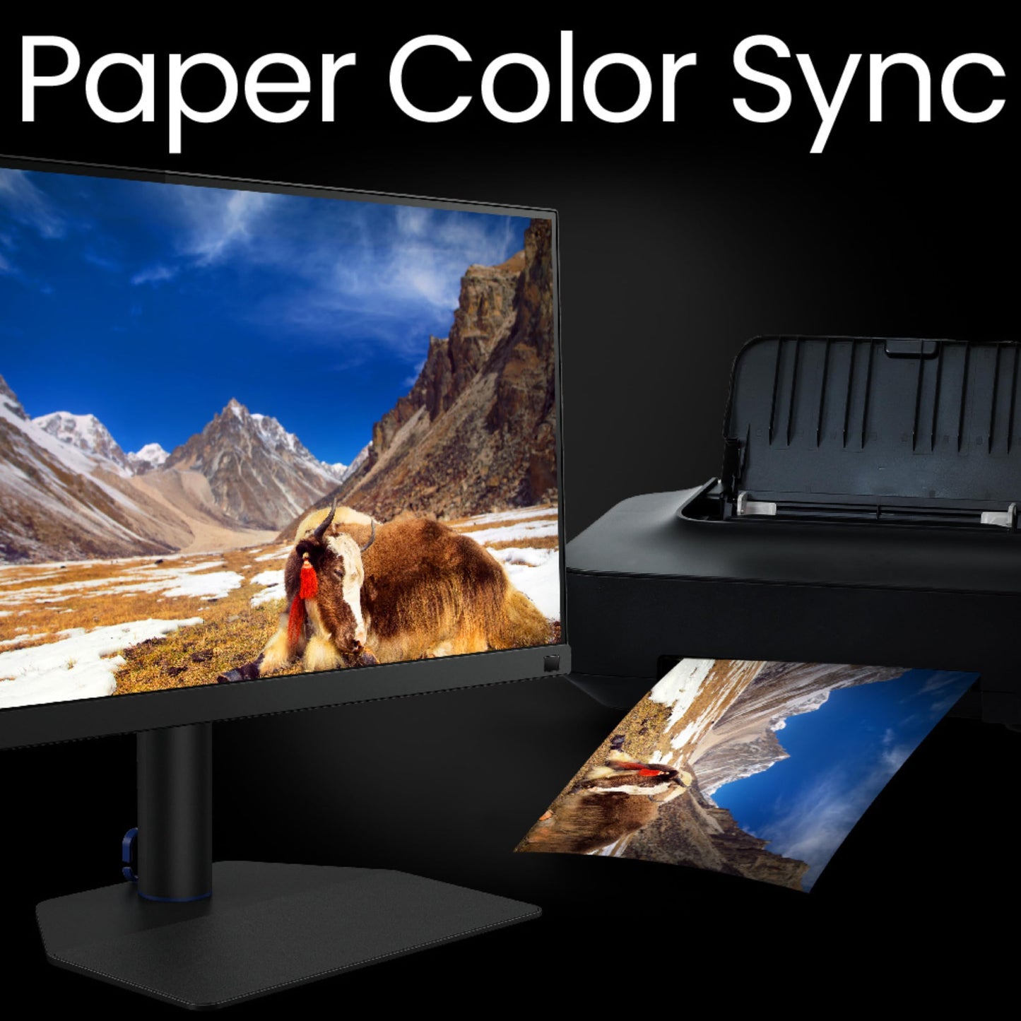 BenQ Monitor para Fotografía 2K 27 Pulgadas SW272Q IPS 99% Adobe RGB