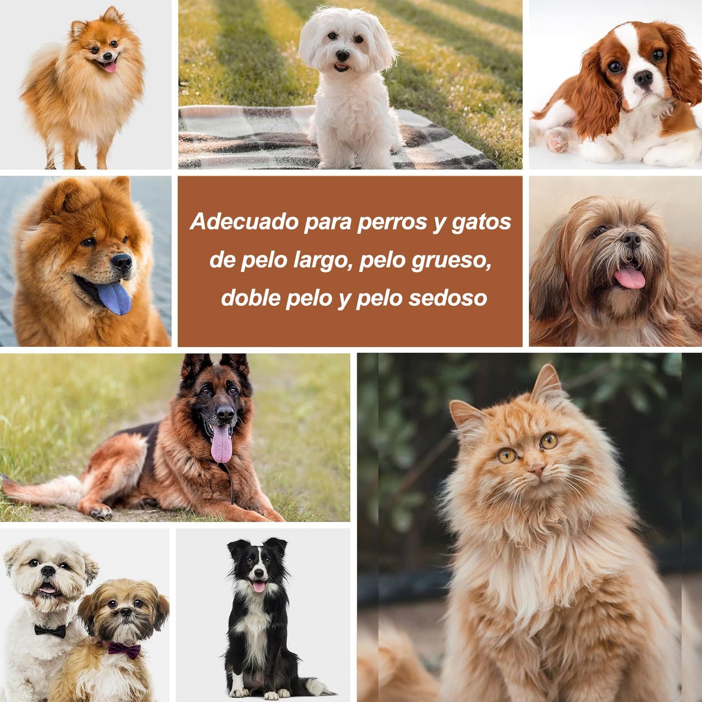 Genérico Cepillo para Perro Pelo Largo 17 mm - Cepillo Mantequilla para Perro Pomerania, Colección Original - Masaje, Baño y Eliminación de Pelo Suelto (1 Unidad)