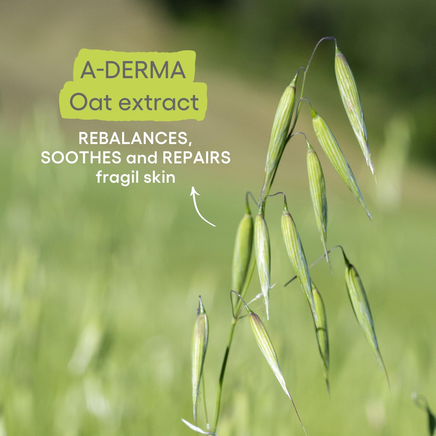 Aceite Corporal Nutritivo y Hidratante para Piel Sensible - Cuidado Corporal Especializado para Piel Delicada