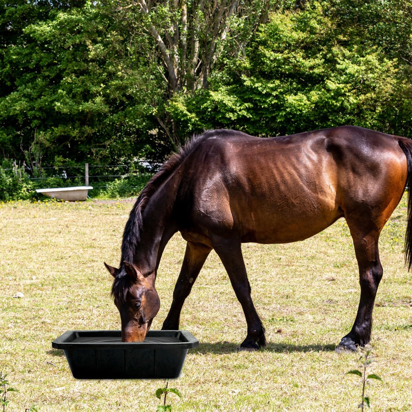 Bandeja de alimentación de goma de 3 piezas, cubo de alimentación para caballos de 10 cuartos, cubo de alimentación grande, cuenco resistente para perros, comedero de goma para caballos, para perros,